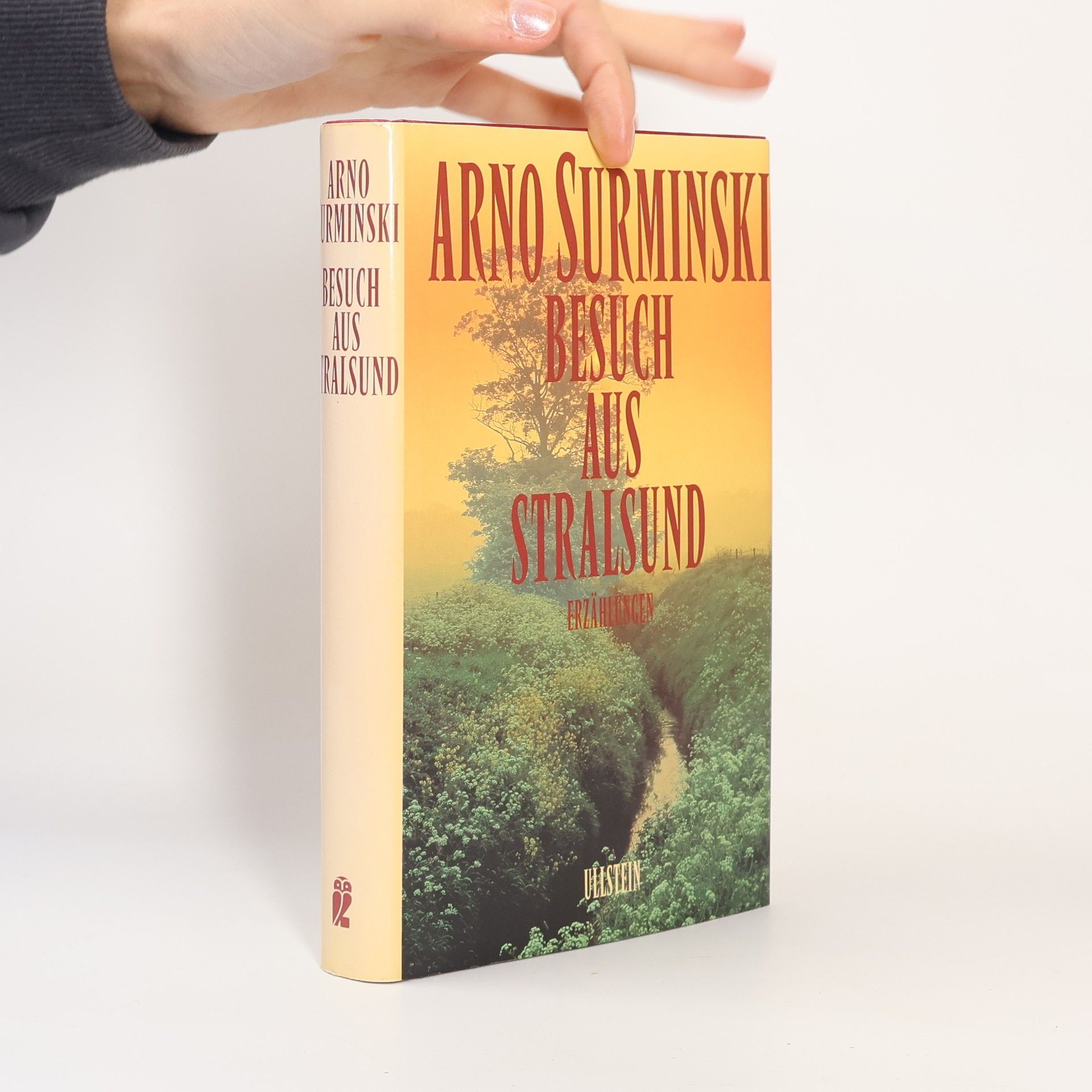 Arno Surminski Besuch aus Stralsund. Erzählungen