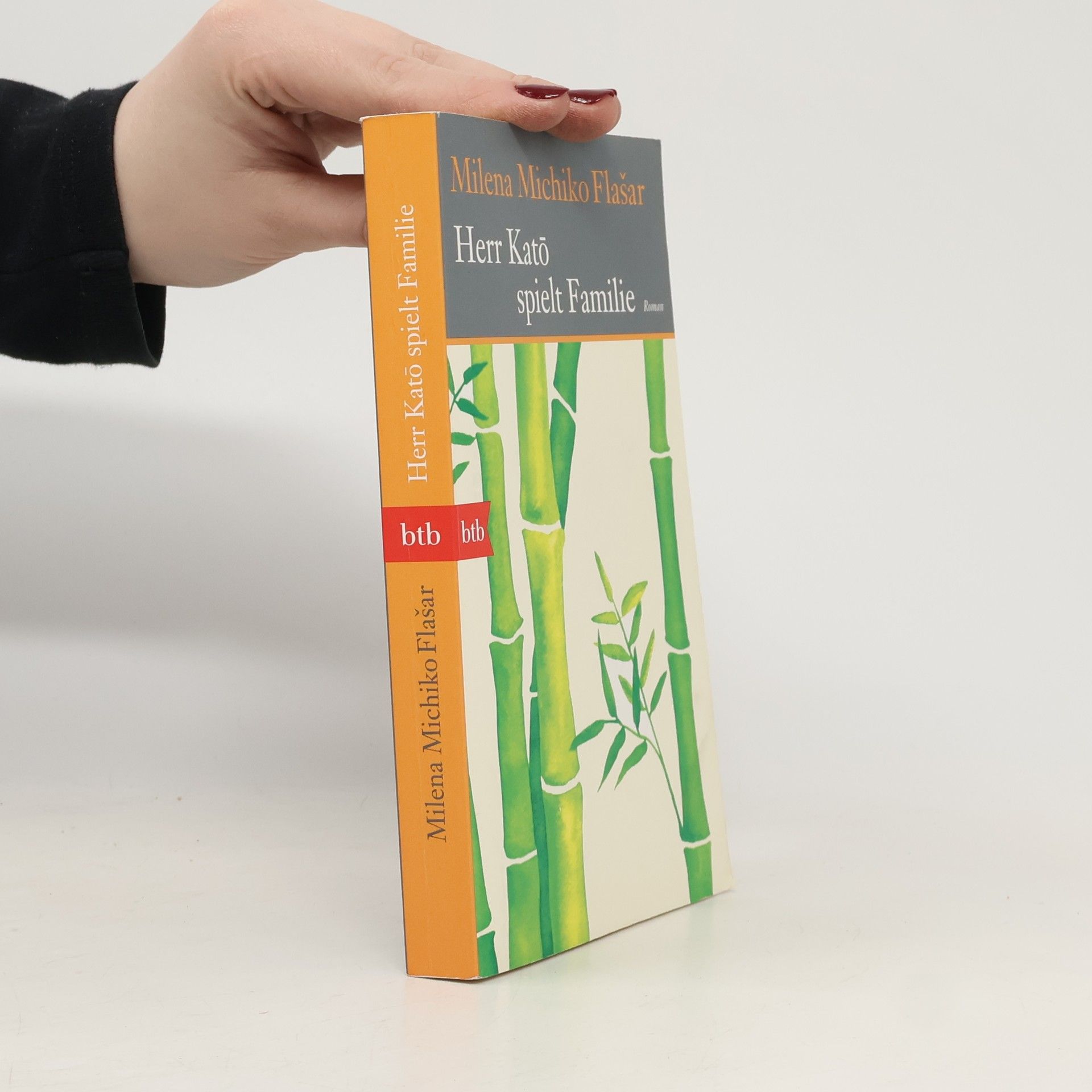 Milena Michiko Flašar Herr Katō spielt Familie