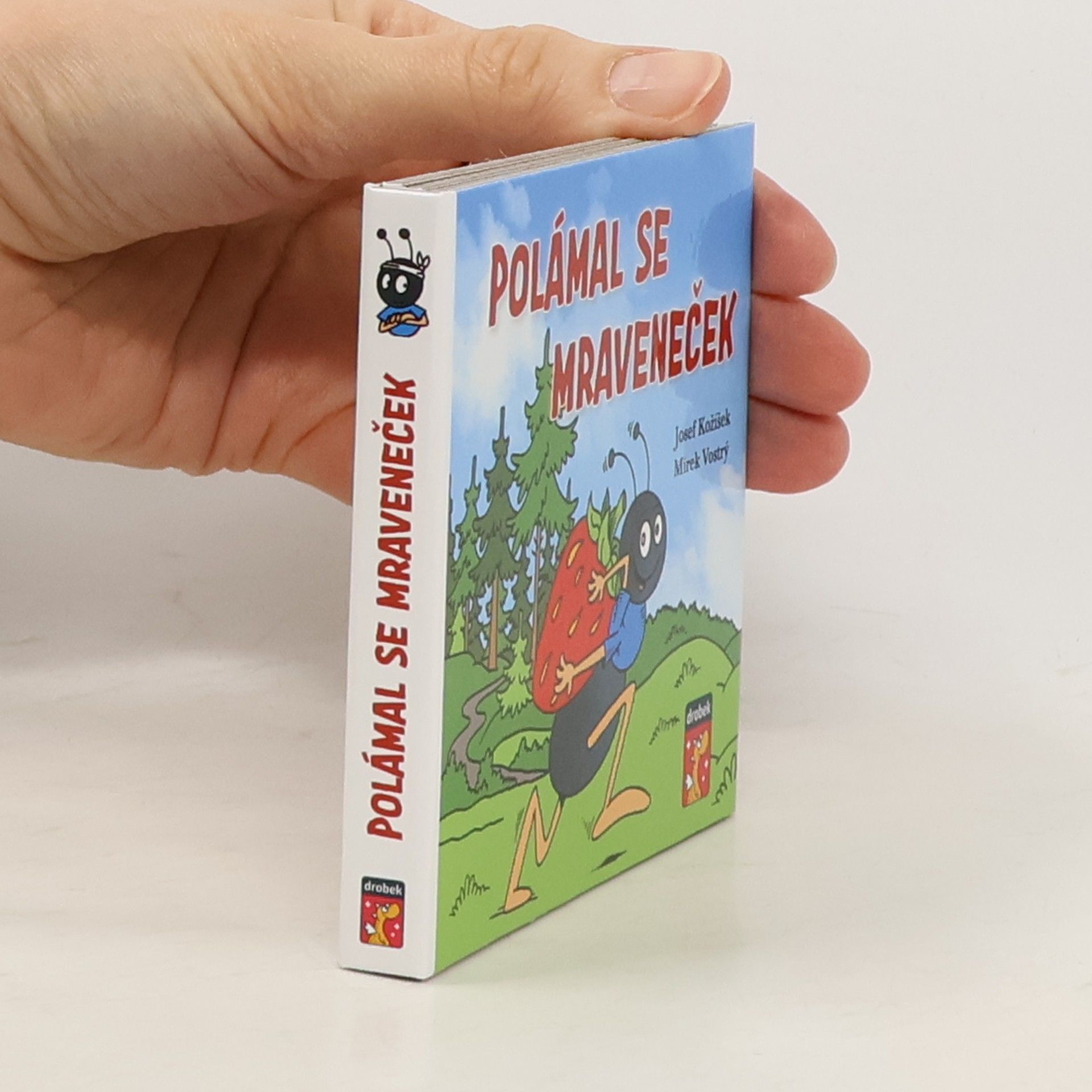 Polámal se mraveneček