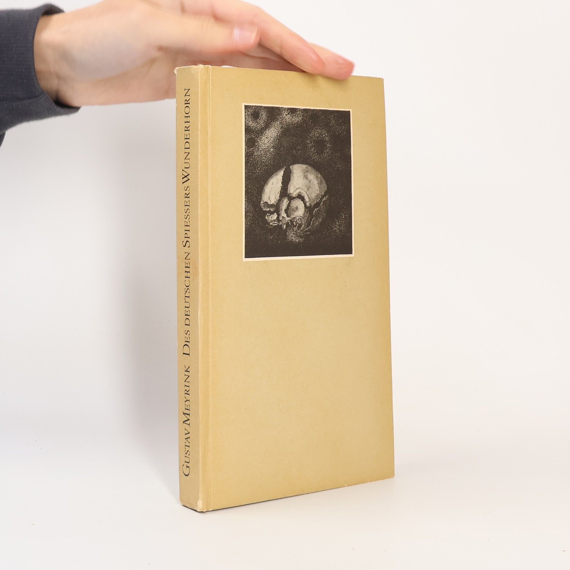 Gustav Meyrink Des Deutschen Spiessers Wunderhorn
