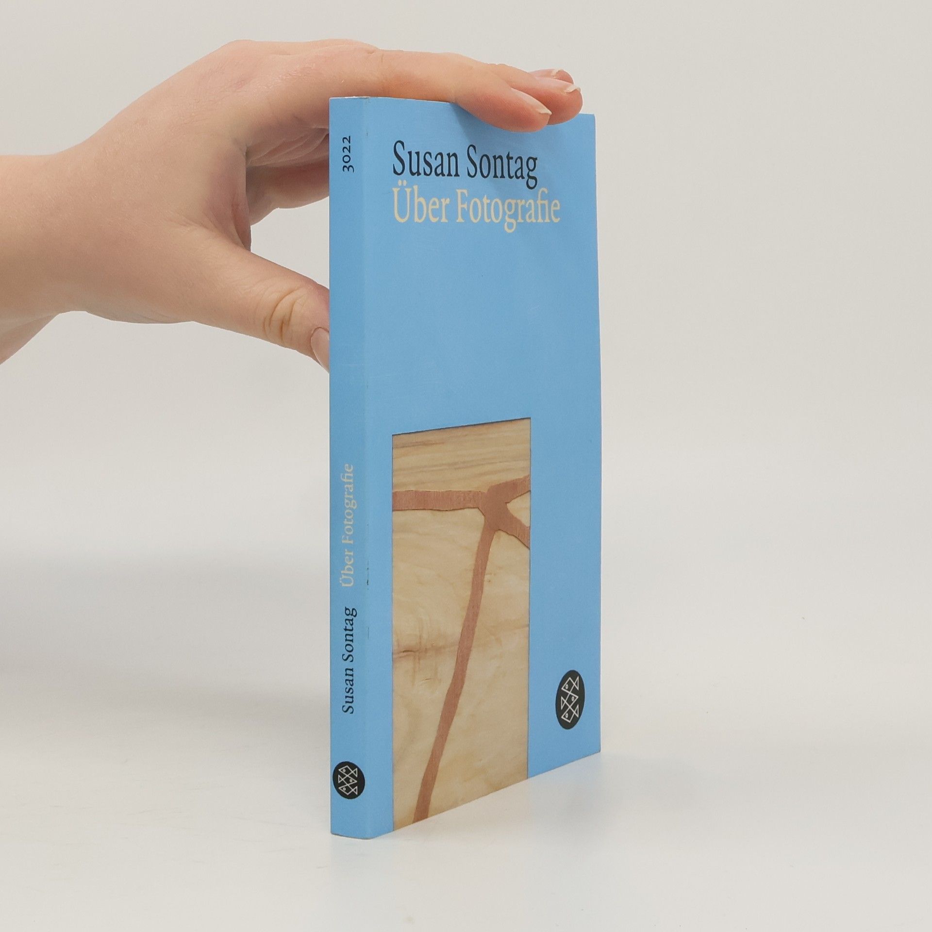 Susan Sontag Über Fotografie