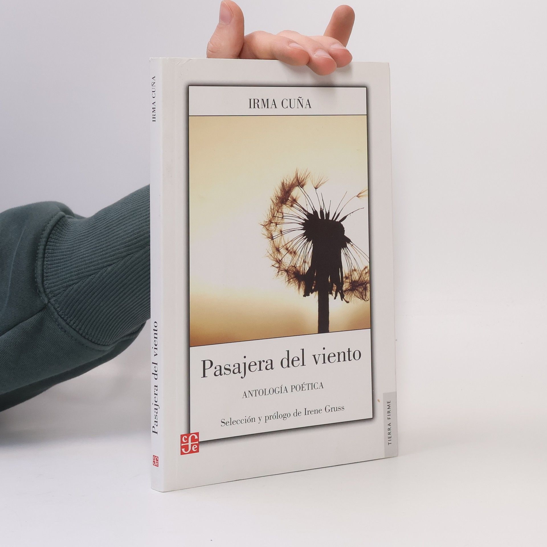 Irma Cuña Pasajera del viento