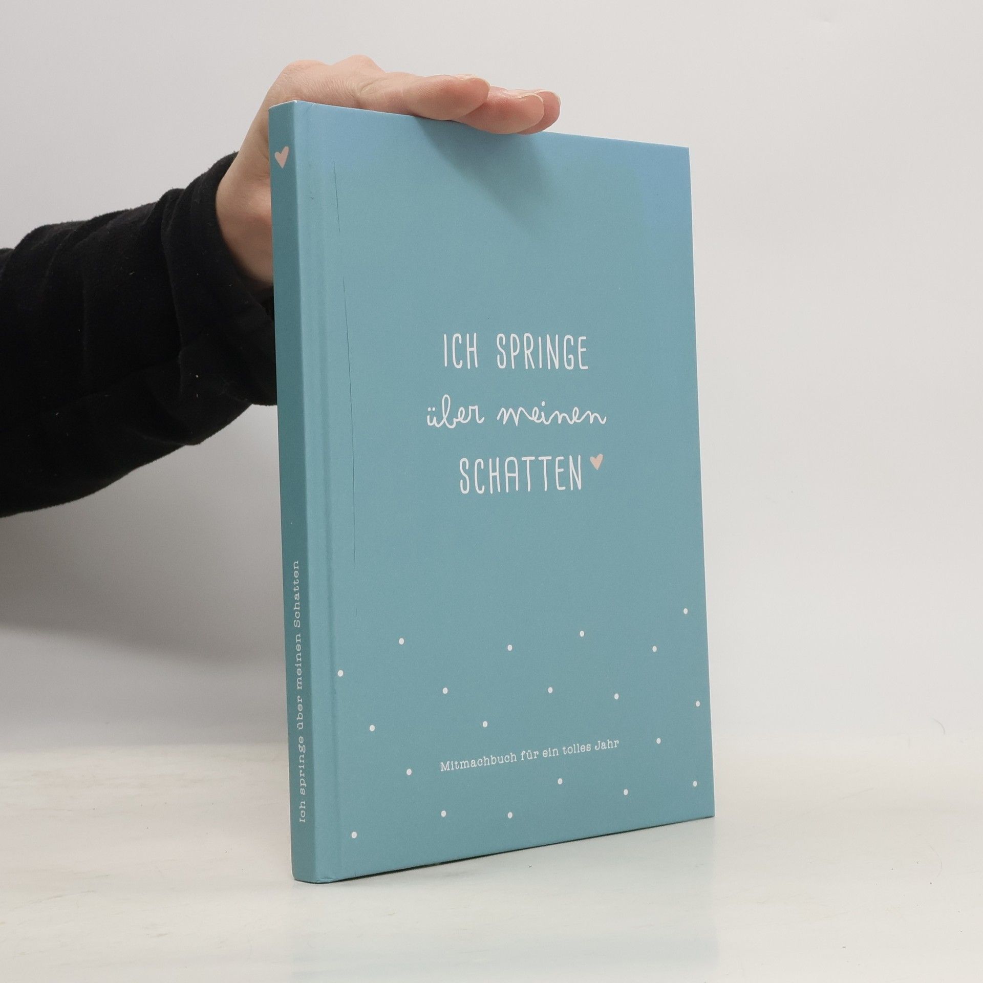 Kolektiv autorů Ich springe über meinen Schatten