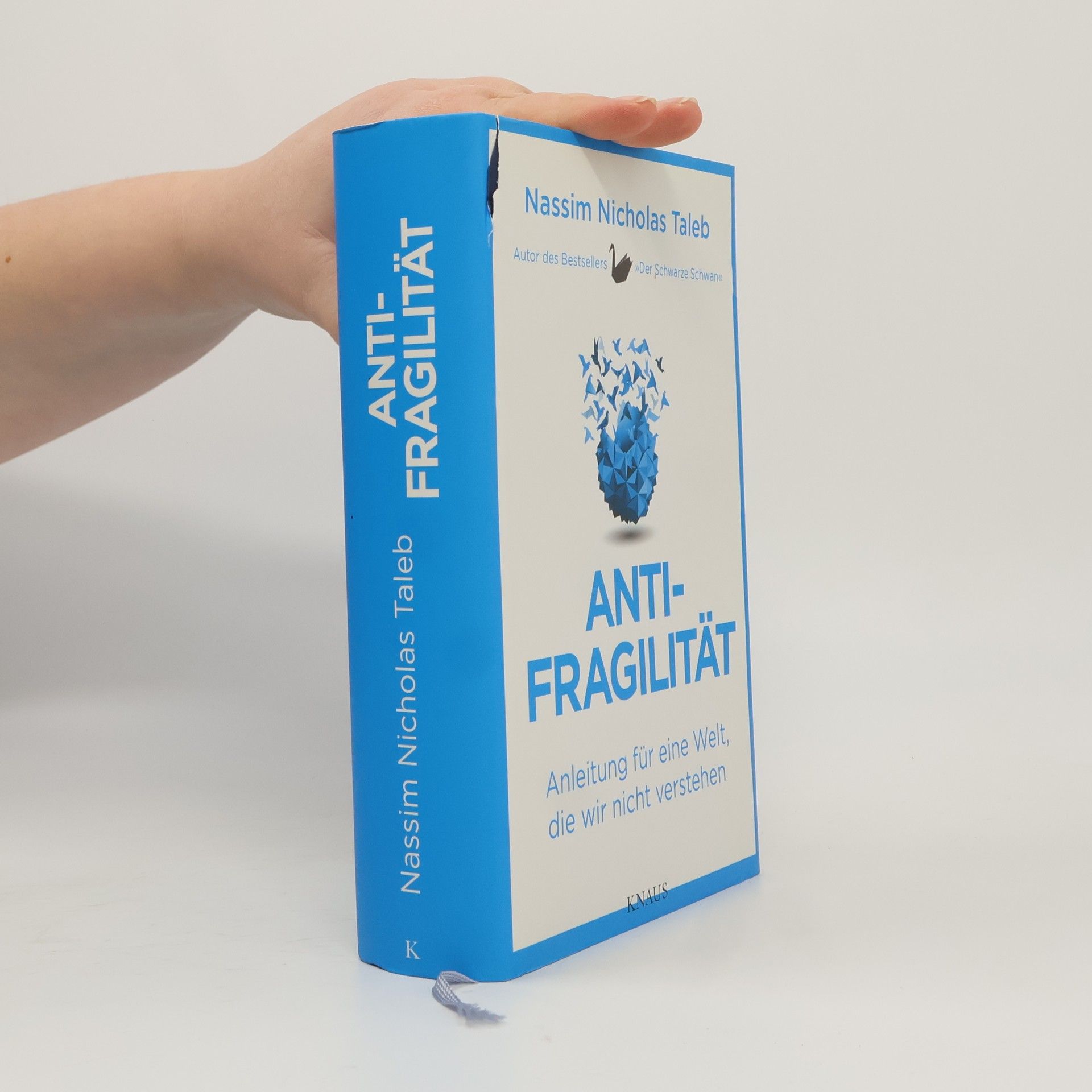 Nassim Nicholas Taleb Antifragilität