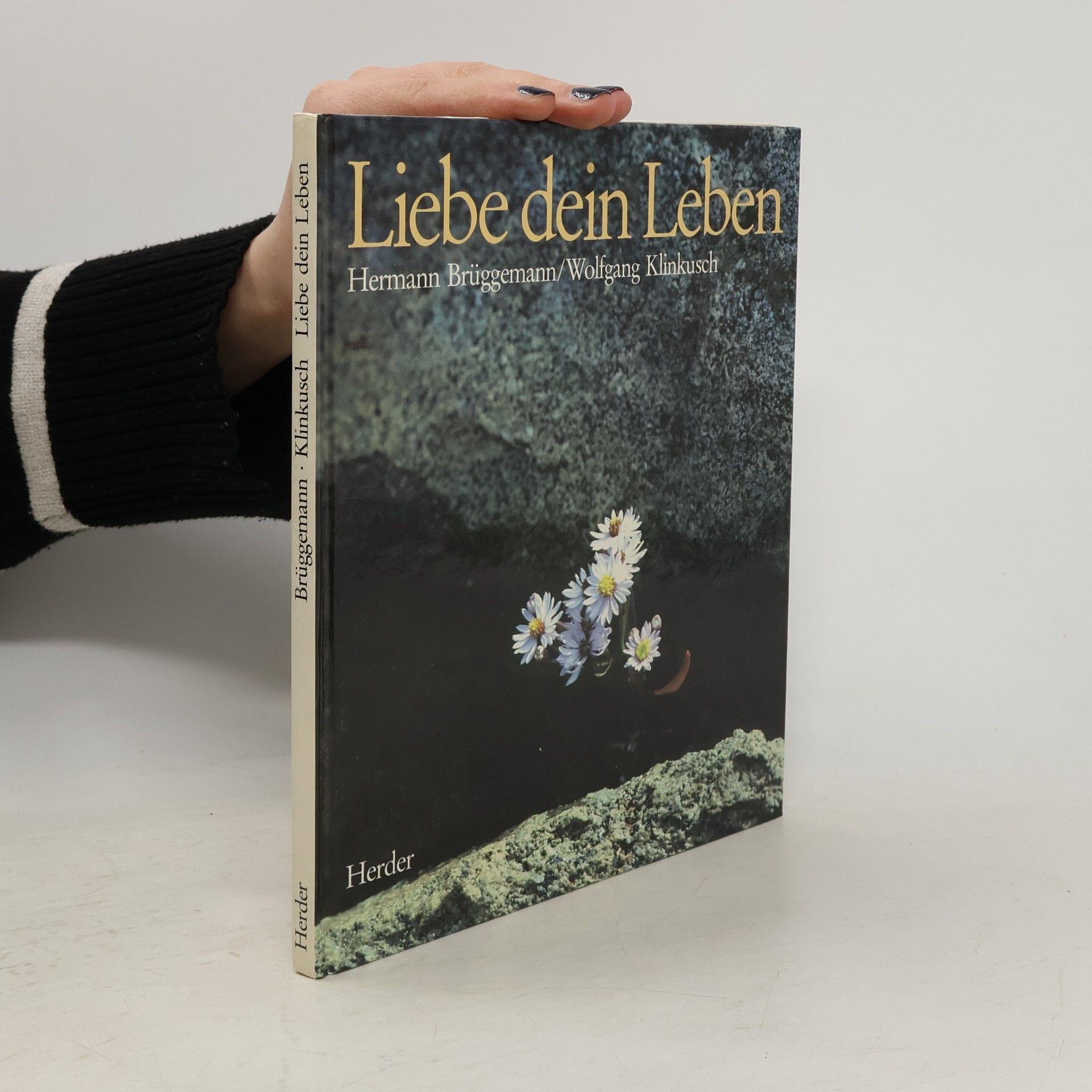 Hermann Brüggemann Liebe dein Leben