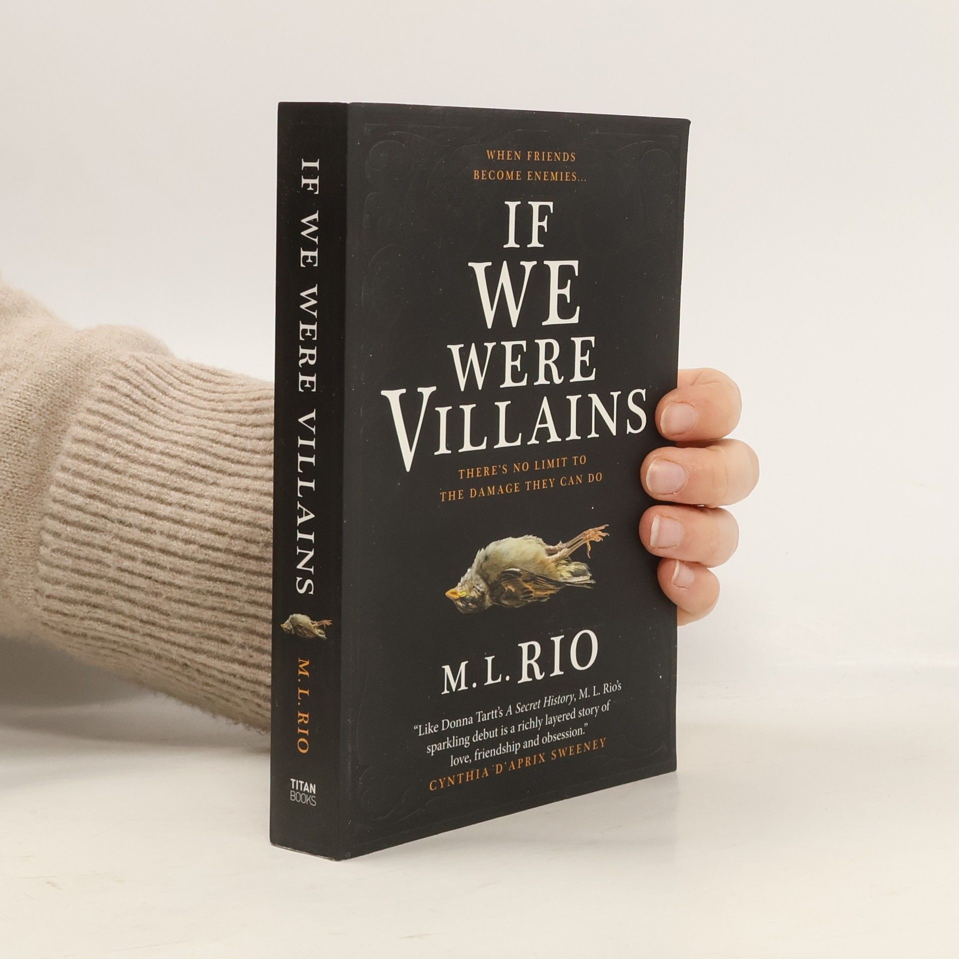 M. L. Rio If We Were Villains