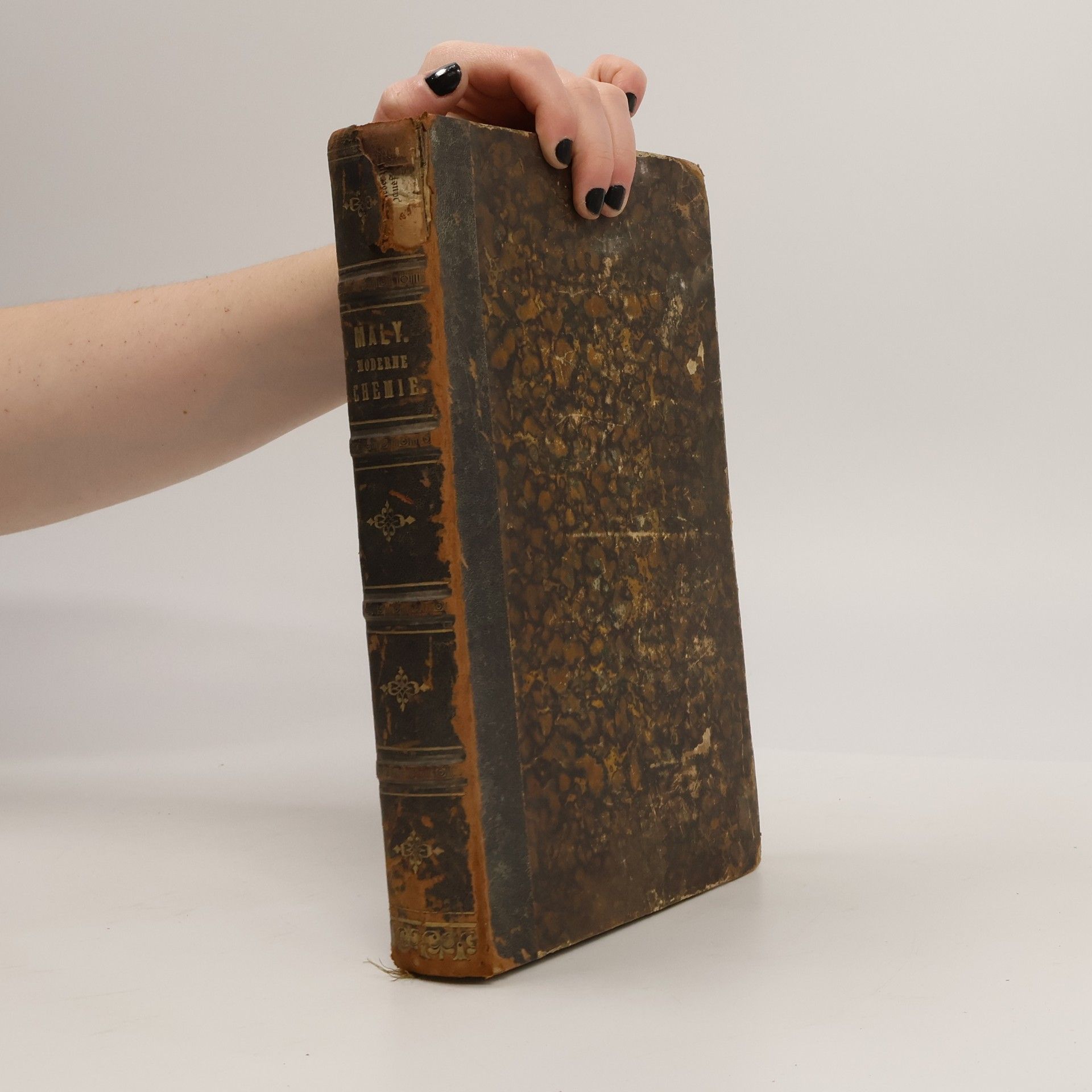 Richard L. Maly Grundzüge der modernen Chemie für Mediciner, Pharmazeuten und Chemiker