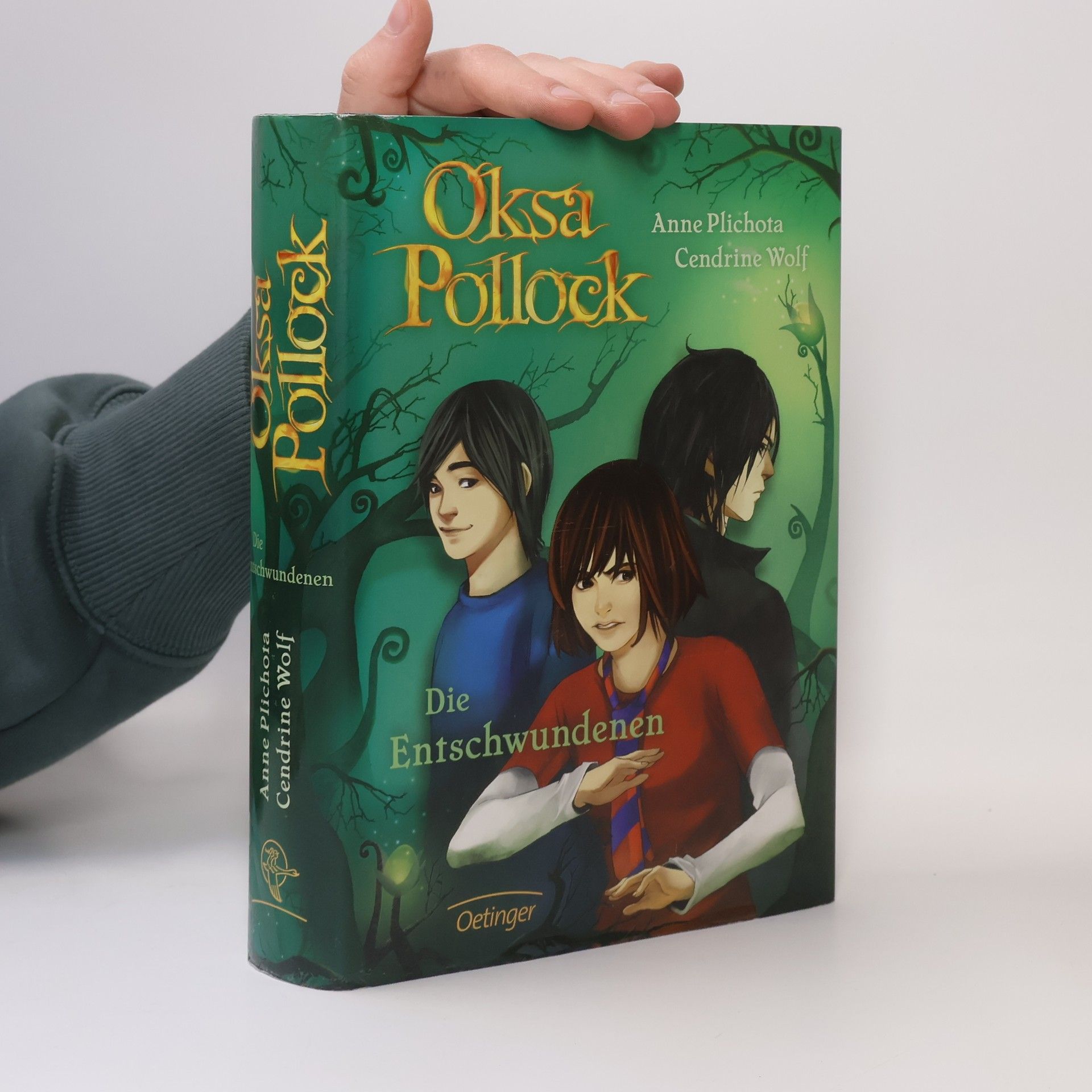 Anne Plichota Oksa Pollock. Die Entschwundenen