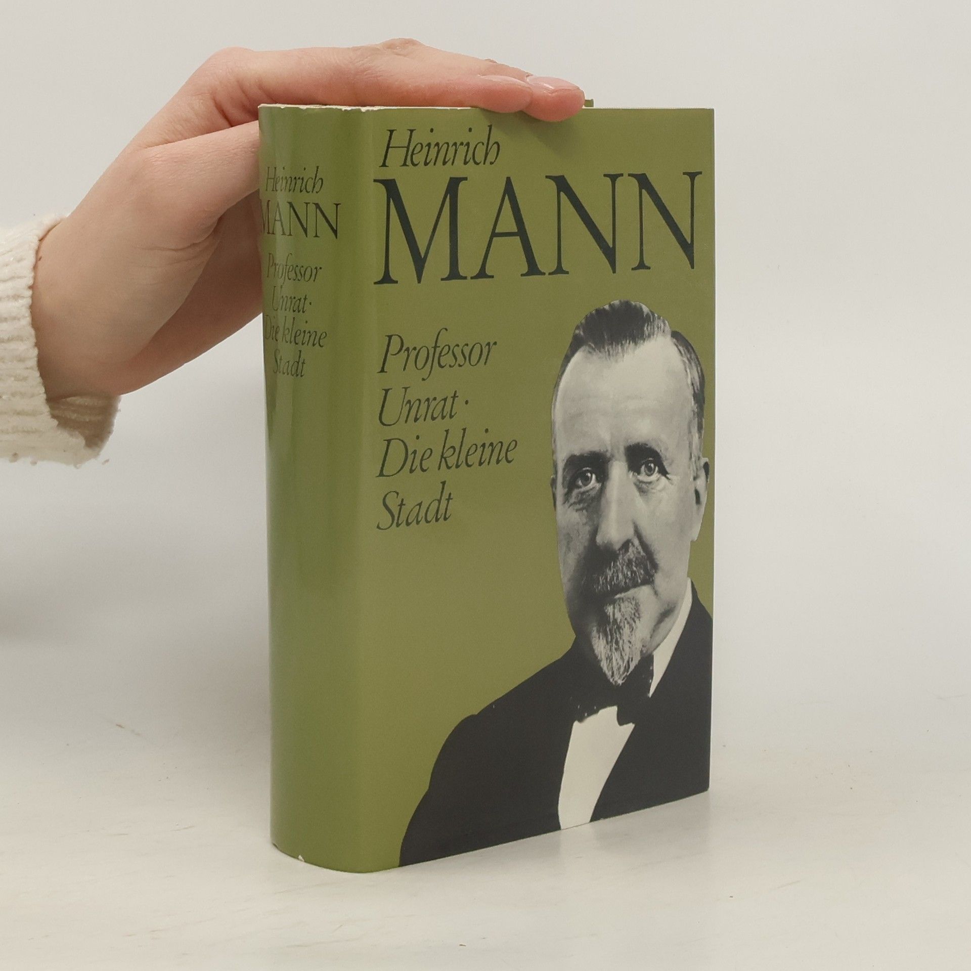 Heinrich Mann Professor Unrat Die kleine Stadt