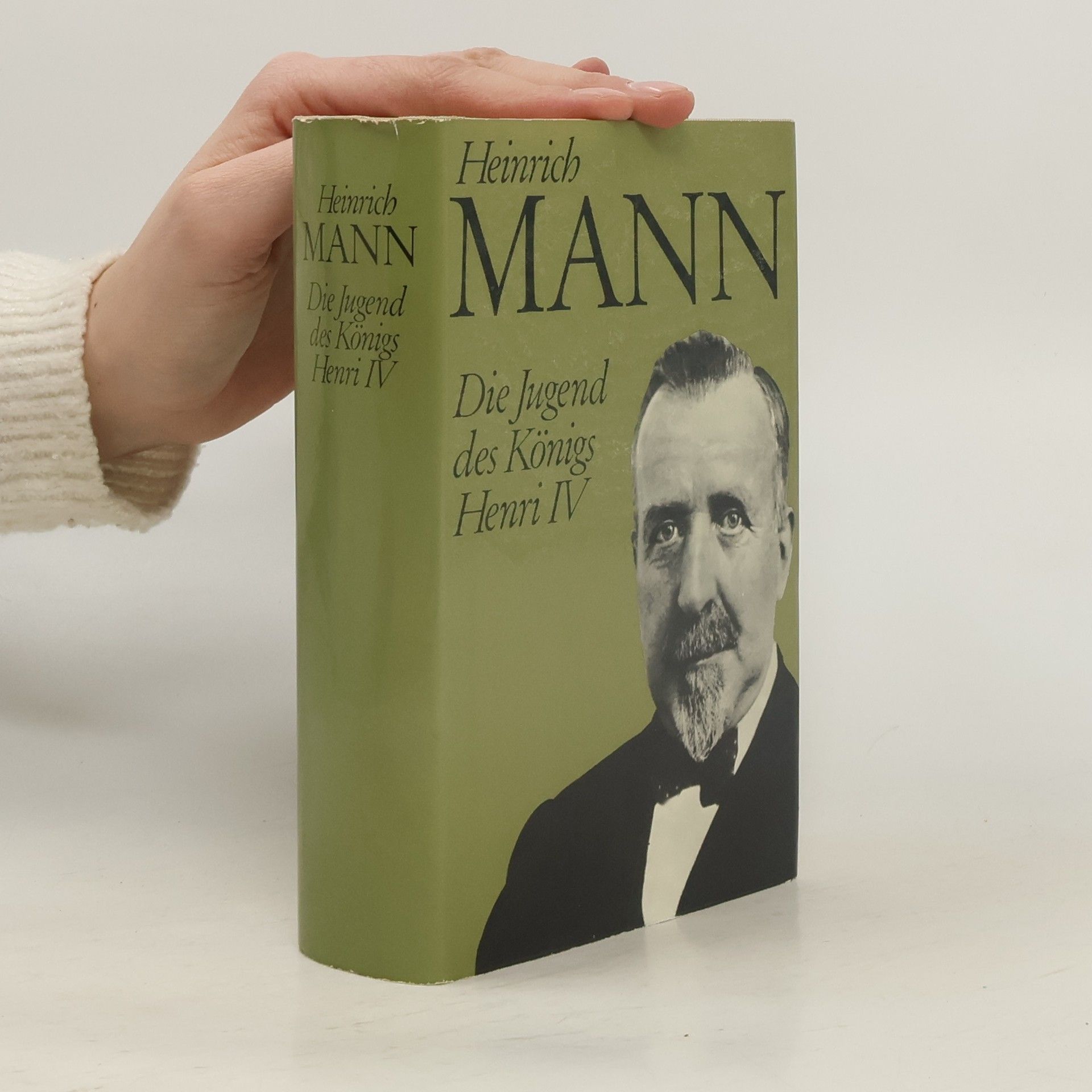 Heinrich Mann Die Jugend des Königs Henri IV