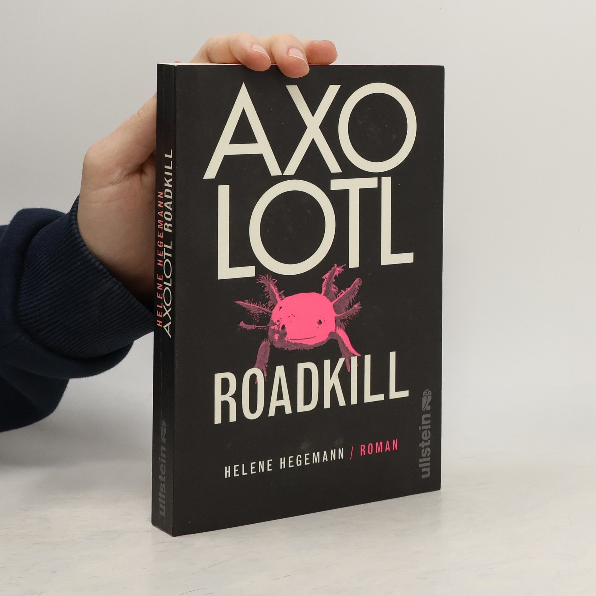 Helene Hegemann Axolotl Roadkill : Roman