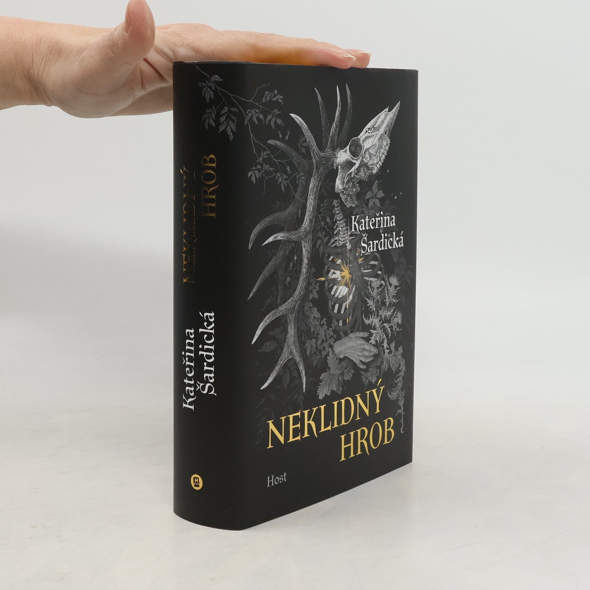 Kateřina Šardická Neklidný hrob