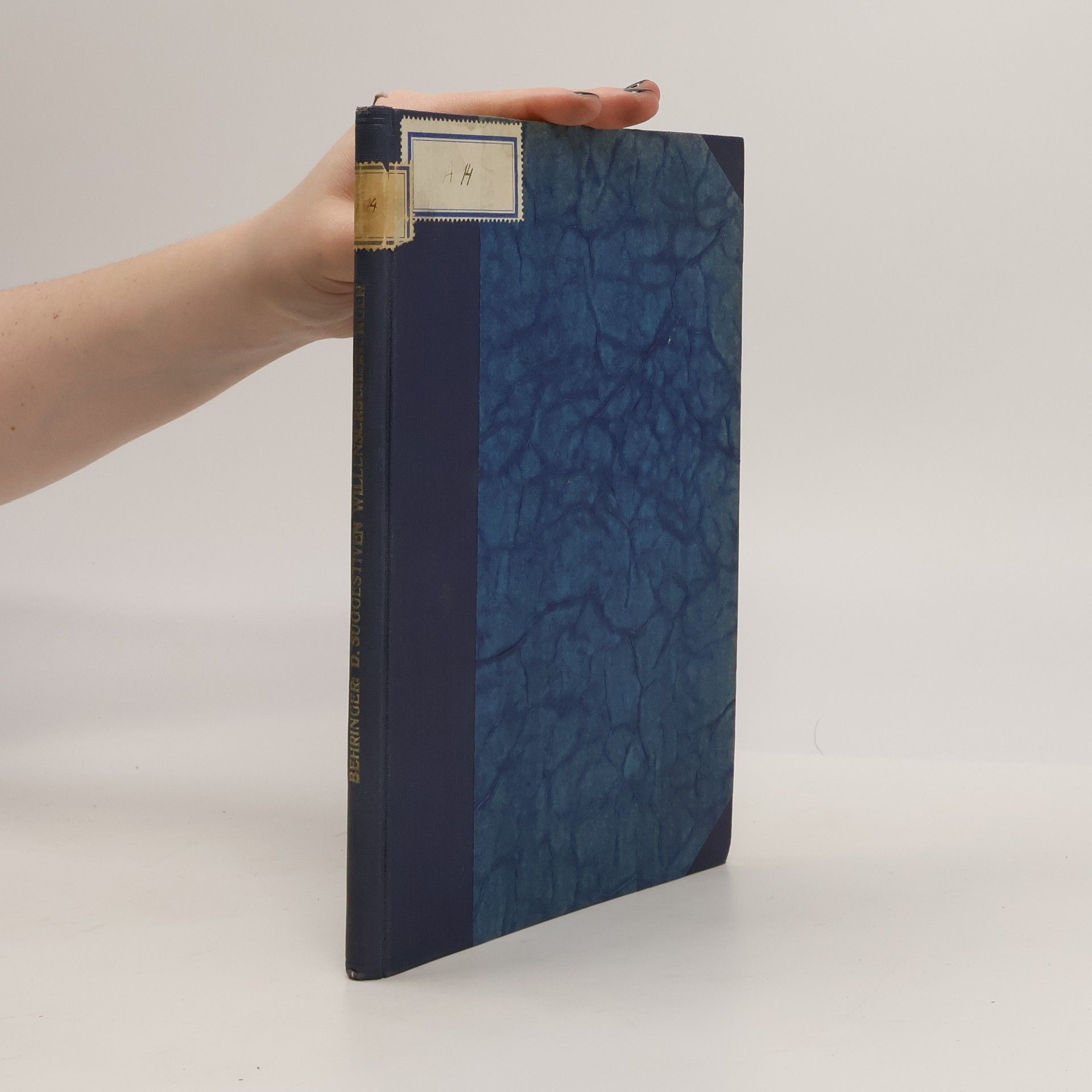 Joseph Behringer Die suggestiven Willenserscheinungen