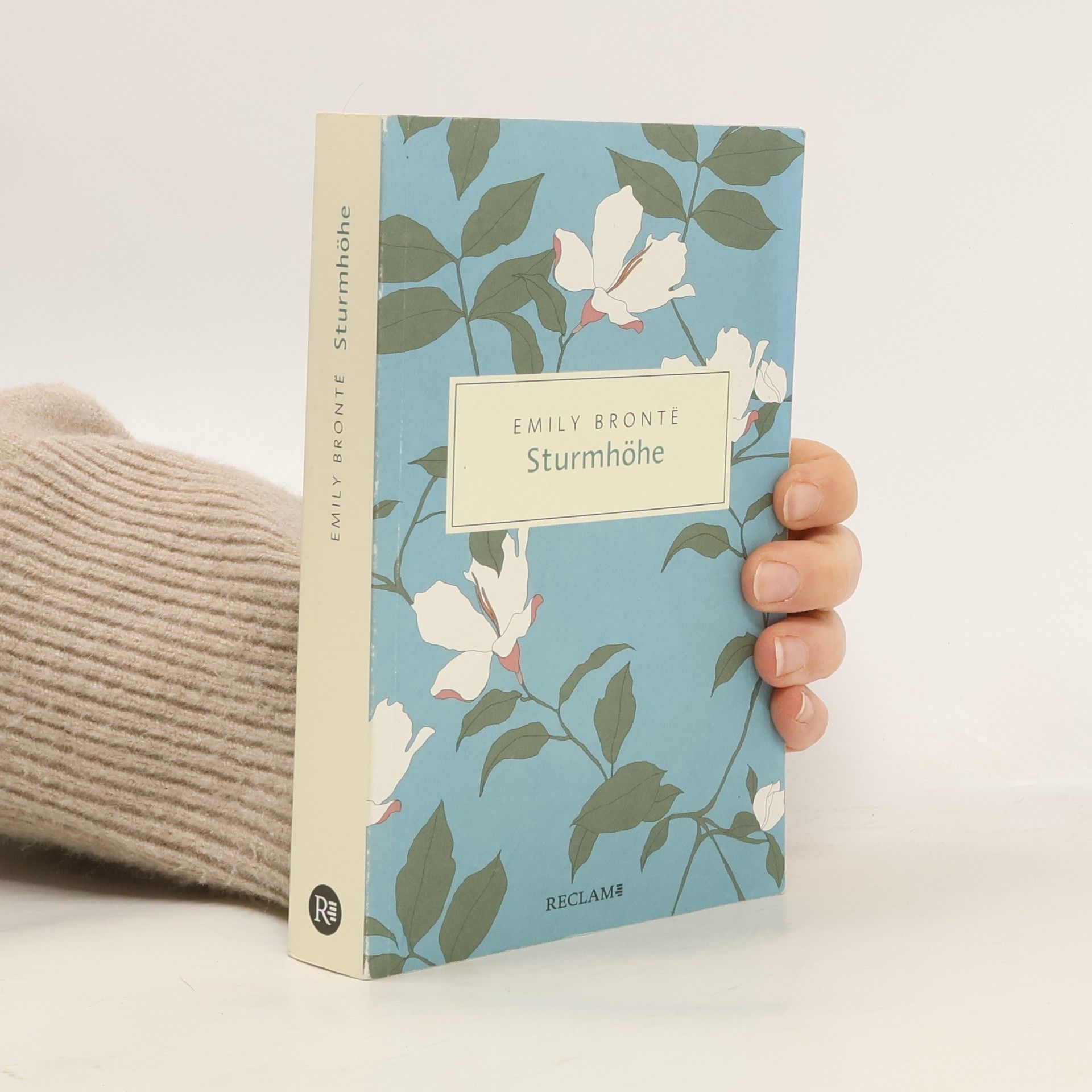 Emily Brontë Sturmhöhe