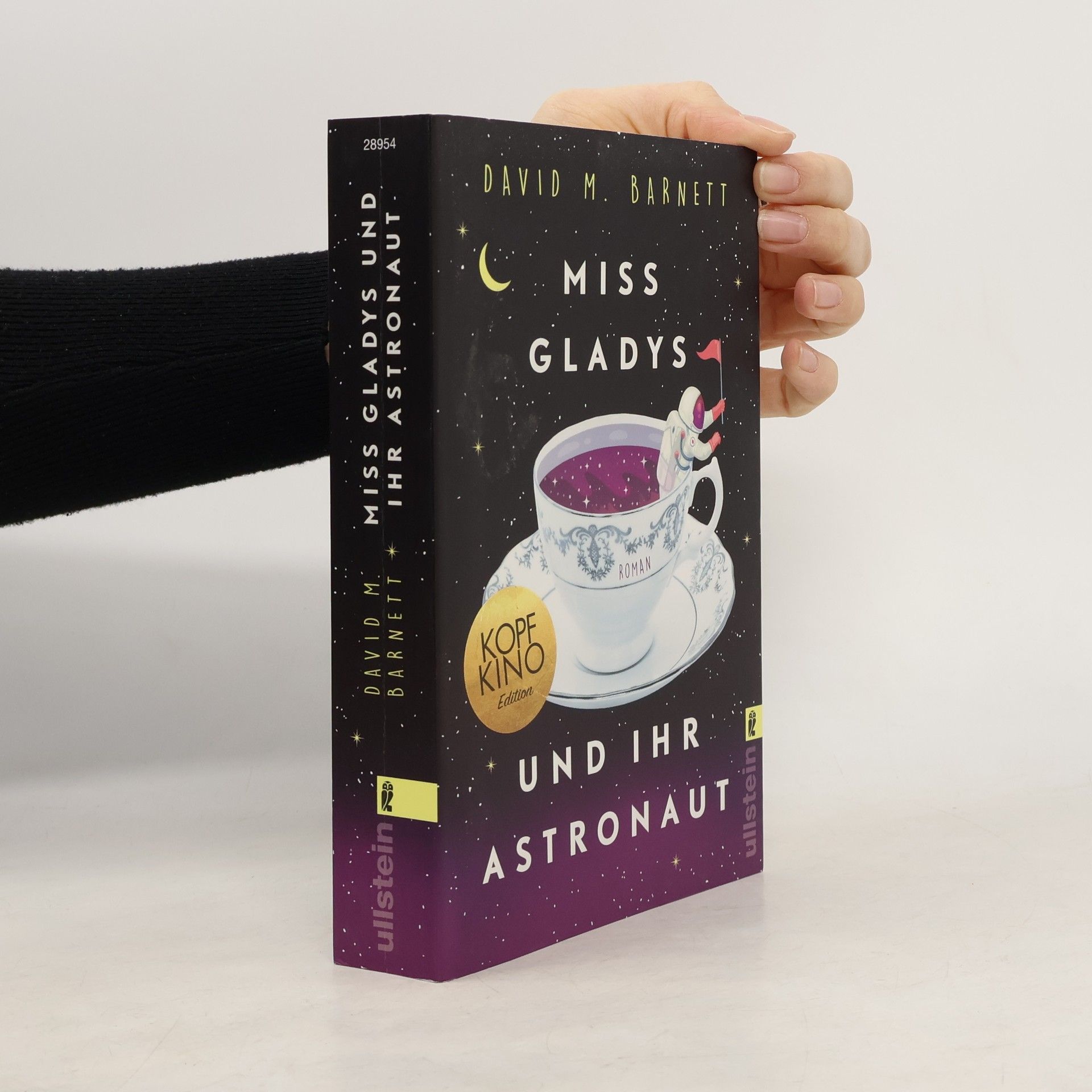 David Barnett Miss Gladys und ihr Astronaut