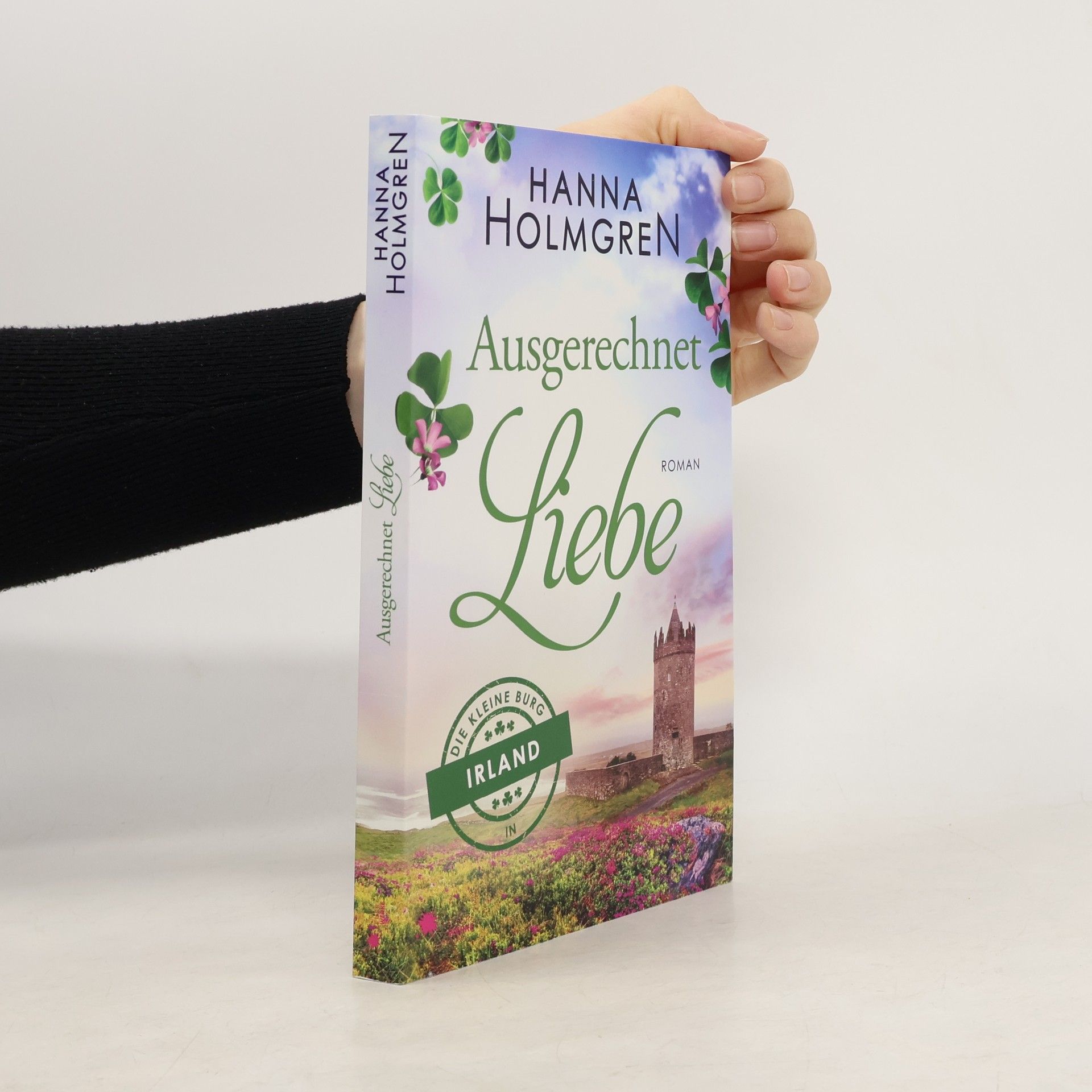 Hanna Holmgren Ausgerechnet Liebe (Die kleine Burg in Irland)