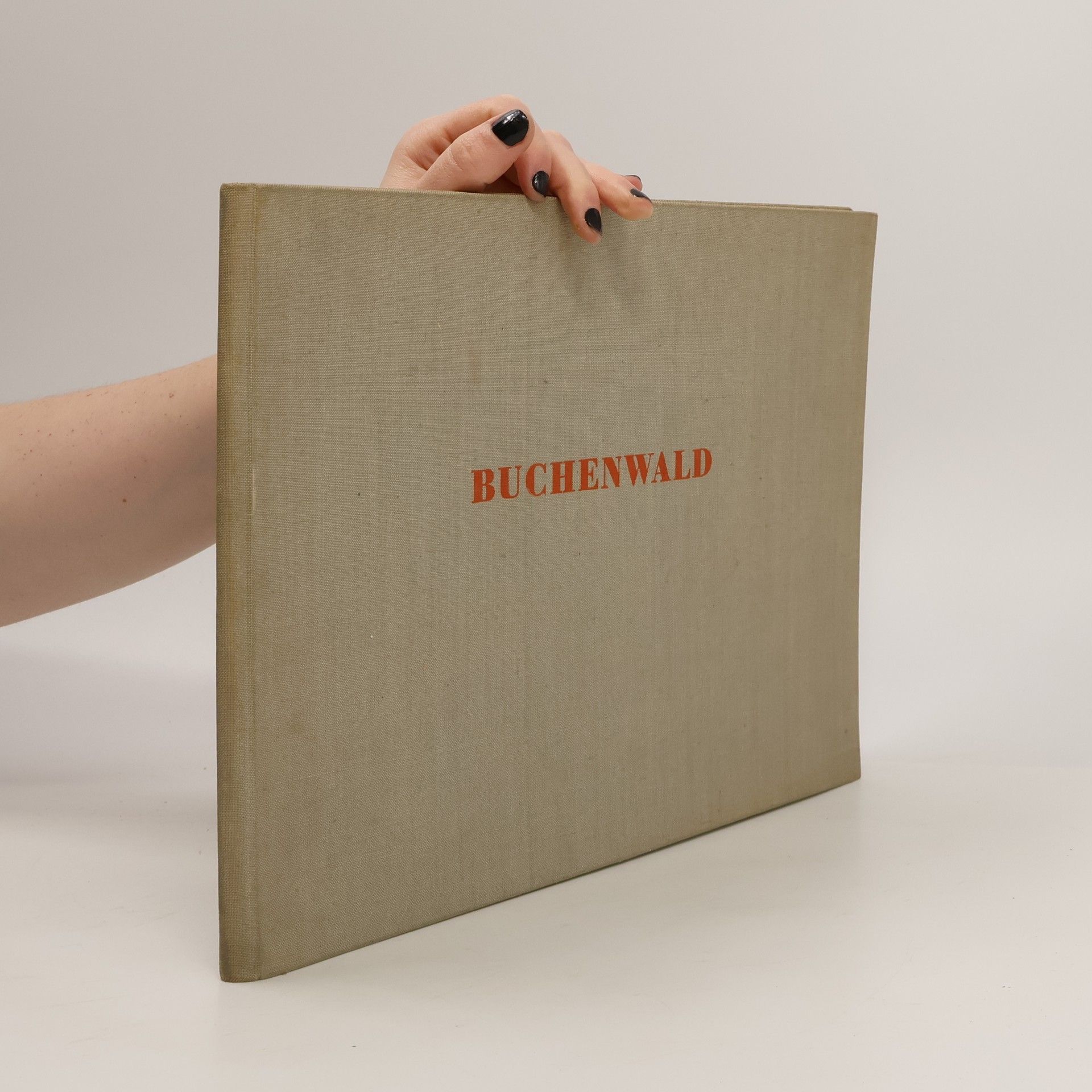 Kolektiv autorů Buchenwald