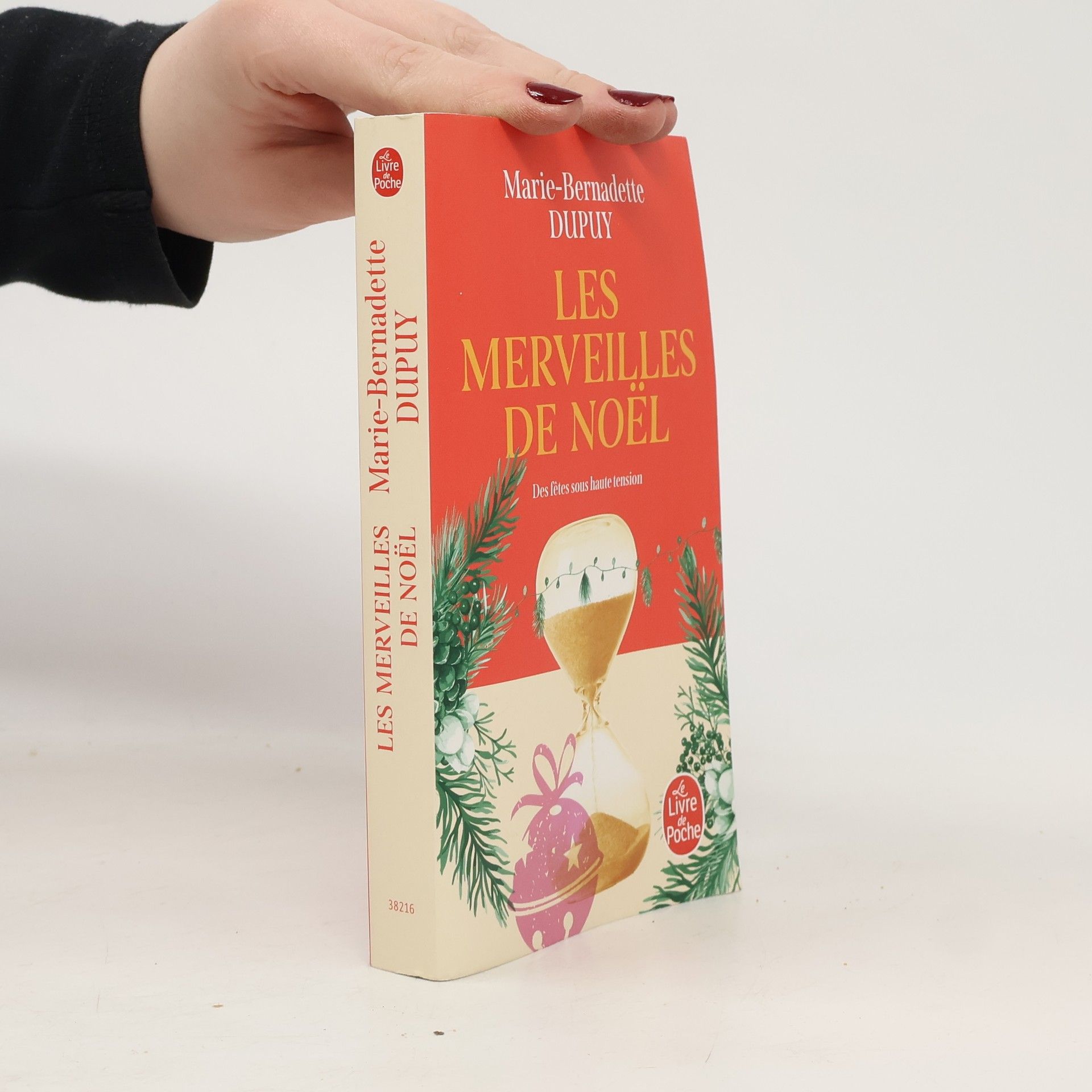 Marie-Bernadette Dupuy Les Merveilles de Noël