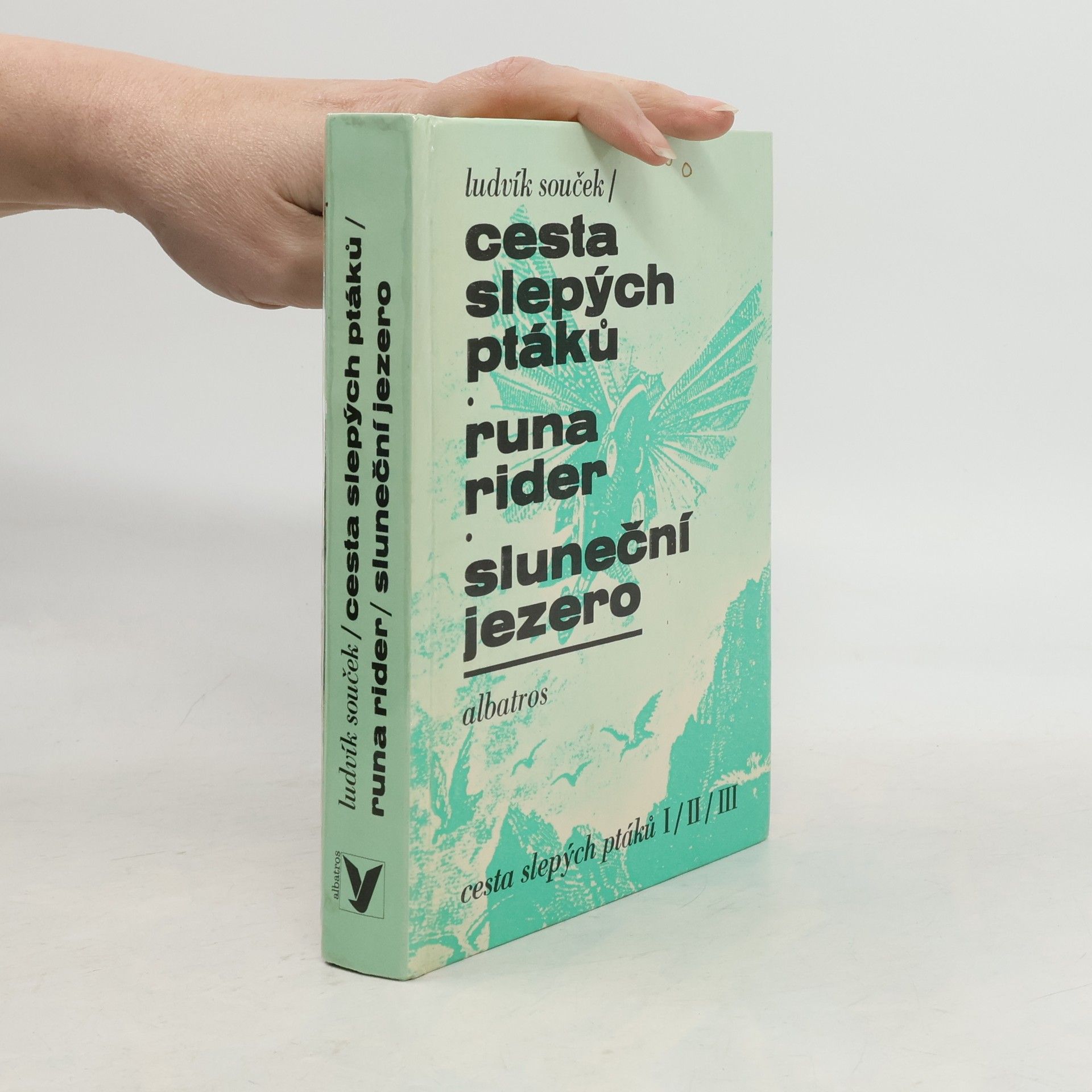 Ludvík Souček Cesta slepých ptáků, Runa rider, Sluneční jezero