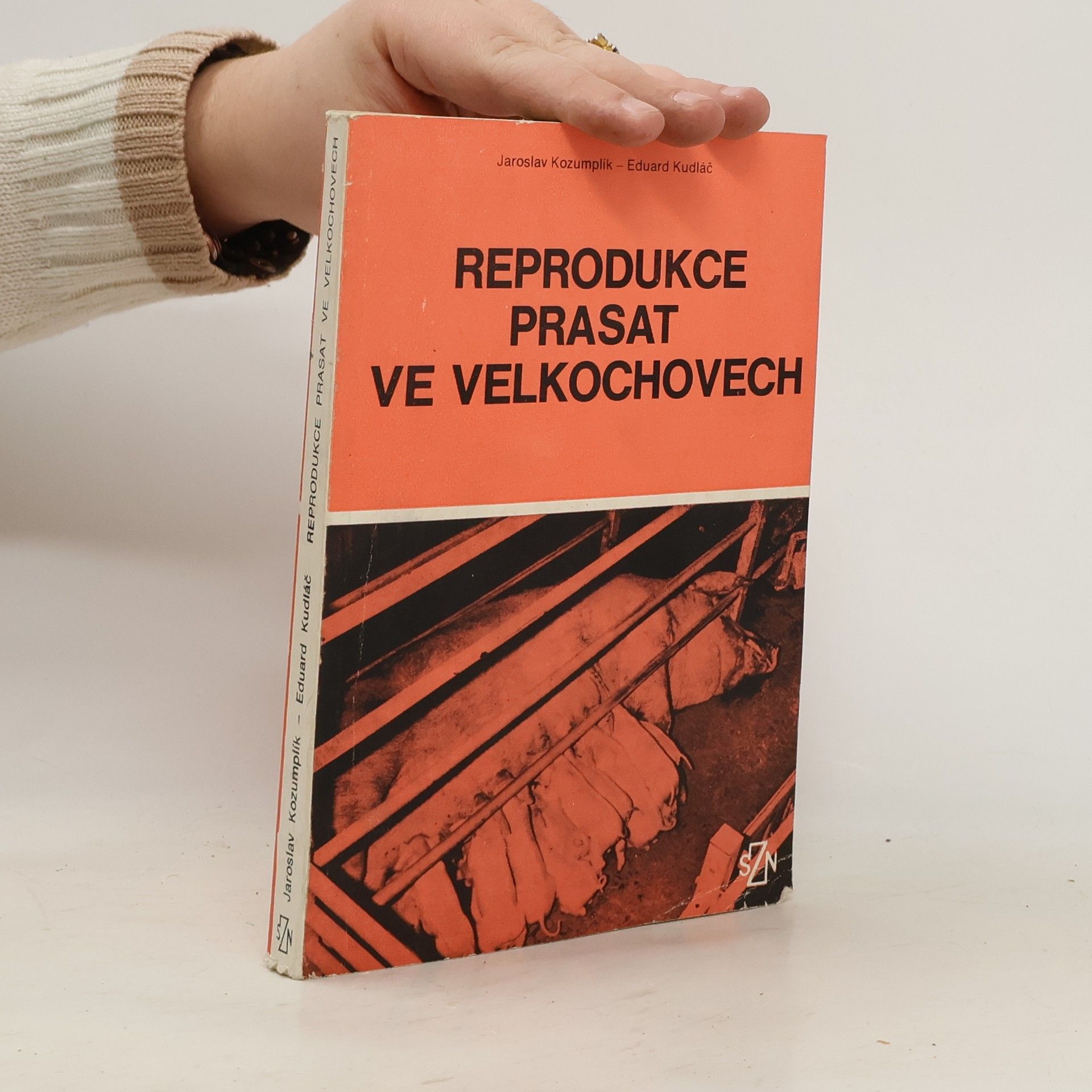 Reprodukce prasat ve velkochovech