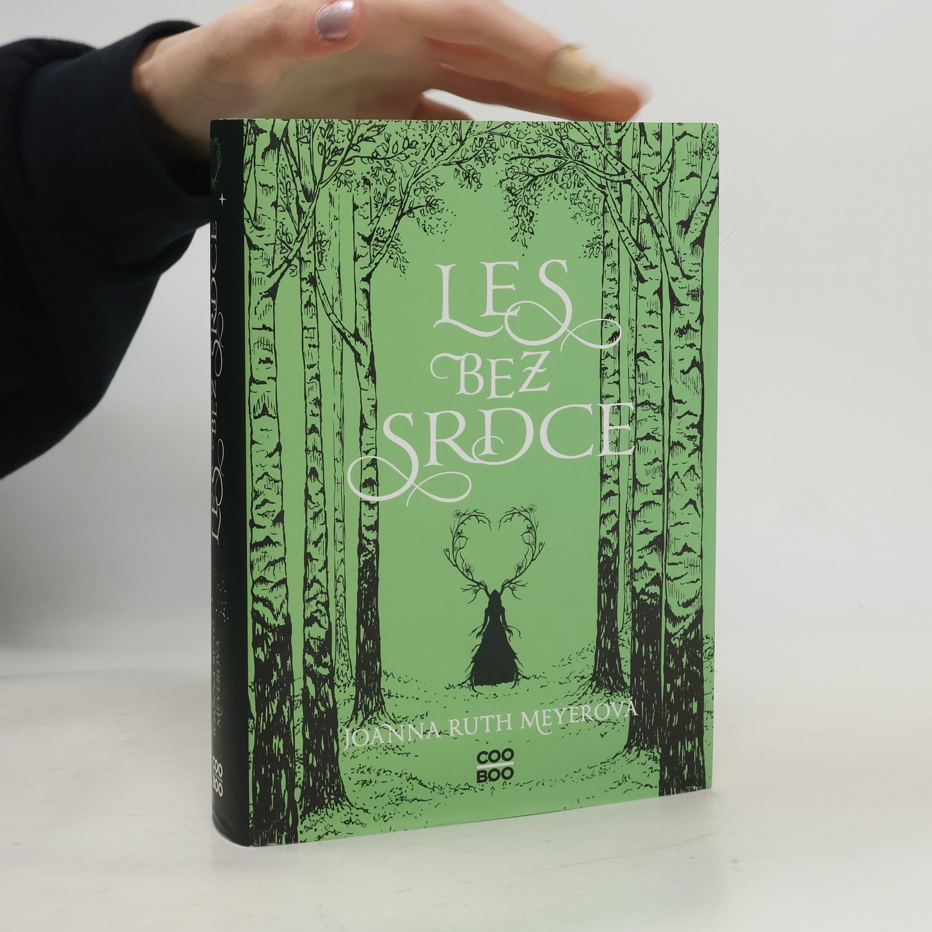 Joanna Ruth Meyer Les bez srdce