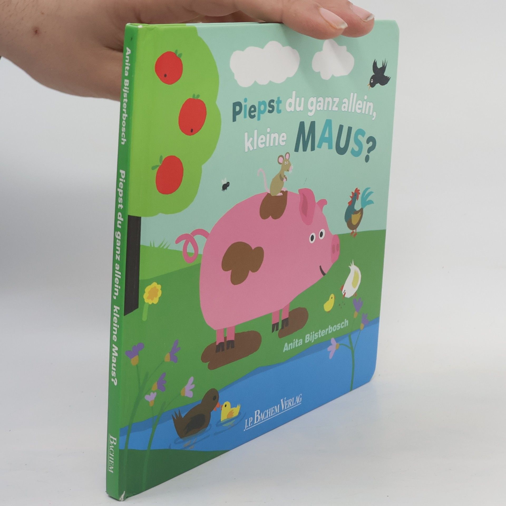 Anita Bijsterbosch Piepst du ganz allein, kleine Maus?