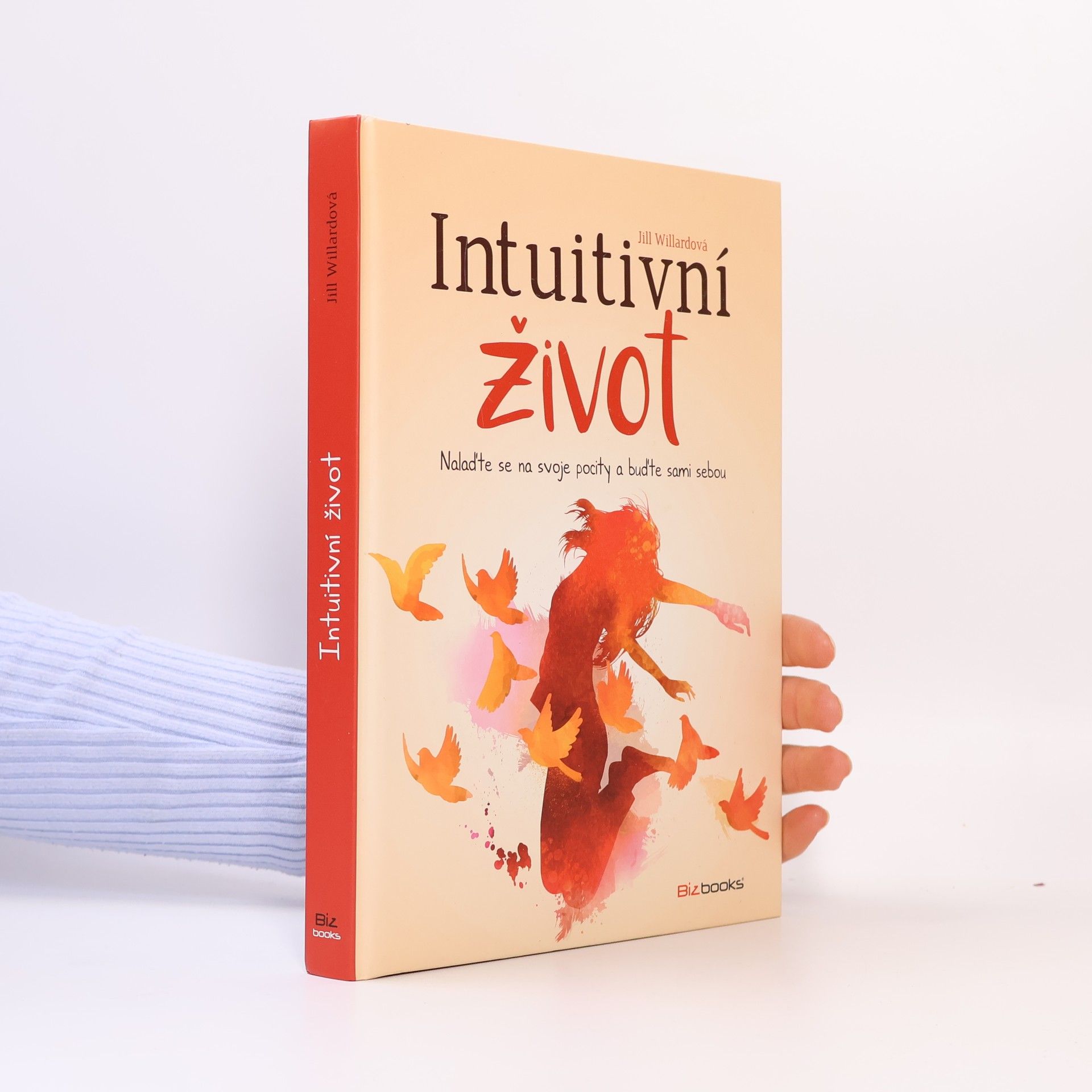 Jill Willard Intuitivní život: Nalaďte se na svou intuici a buďte sami sebou