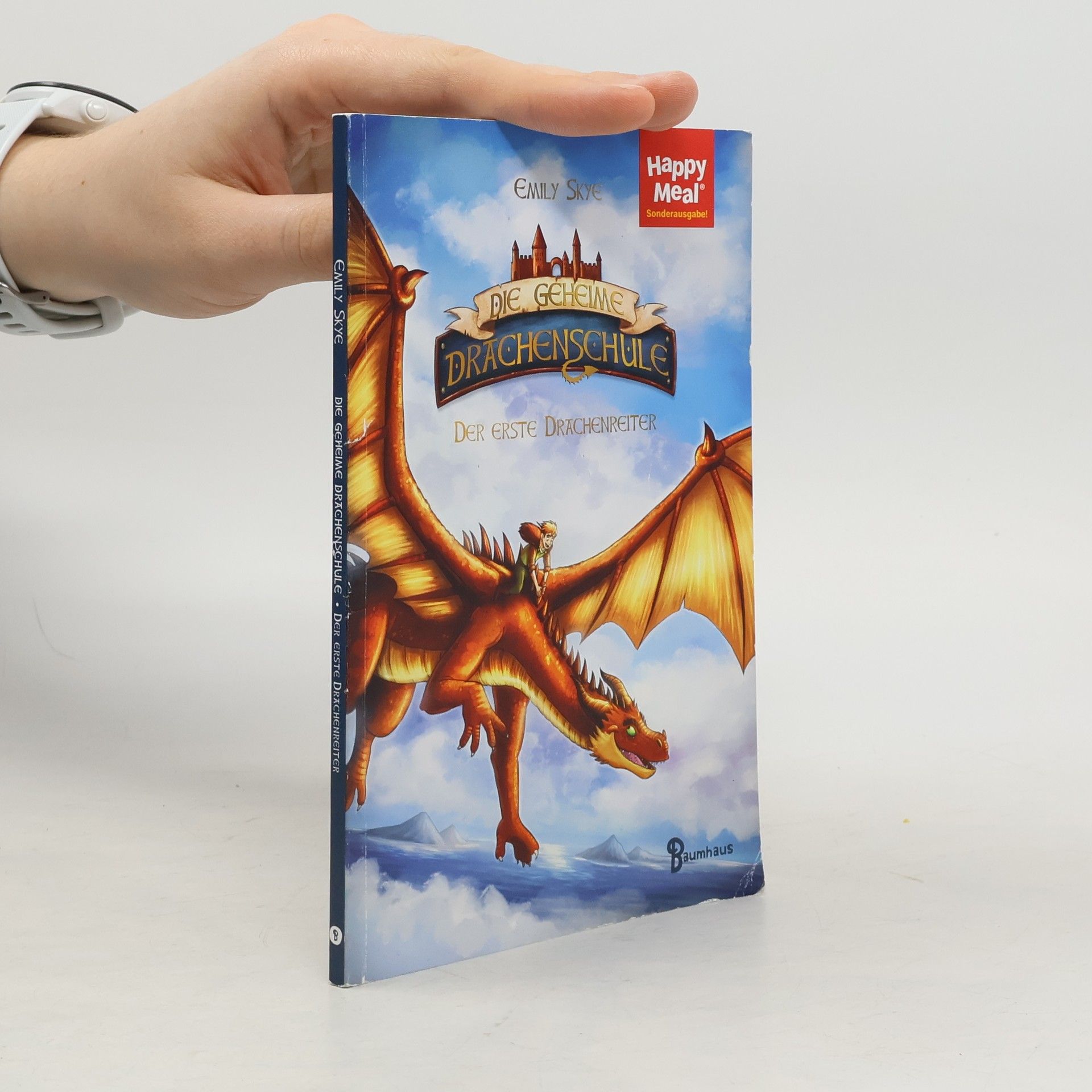 Emily Skye Die geheime Drachenschule. Der erste Drachenreiter