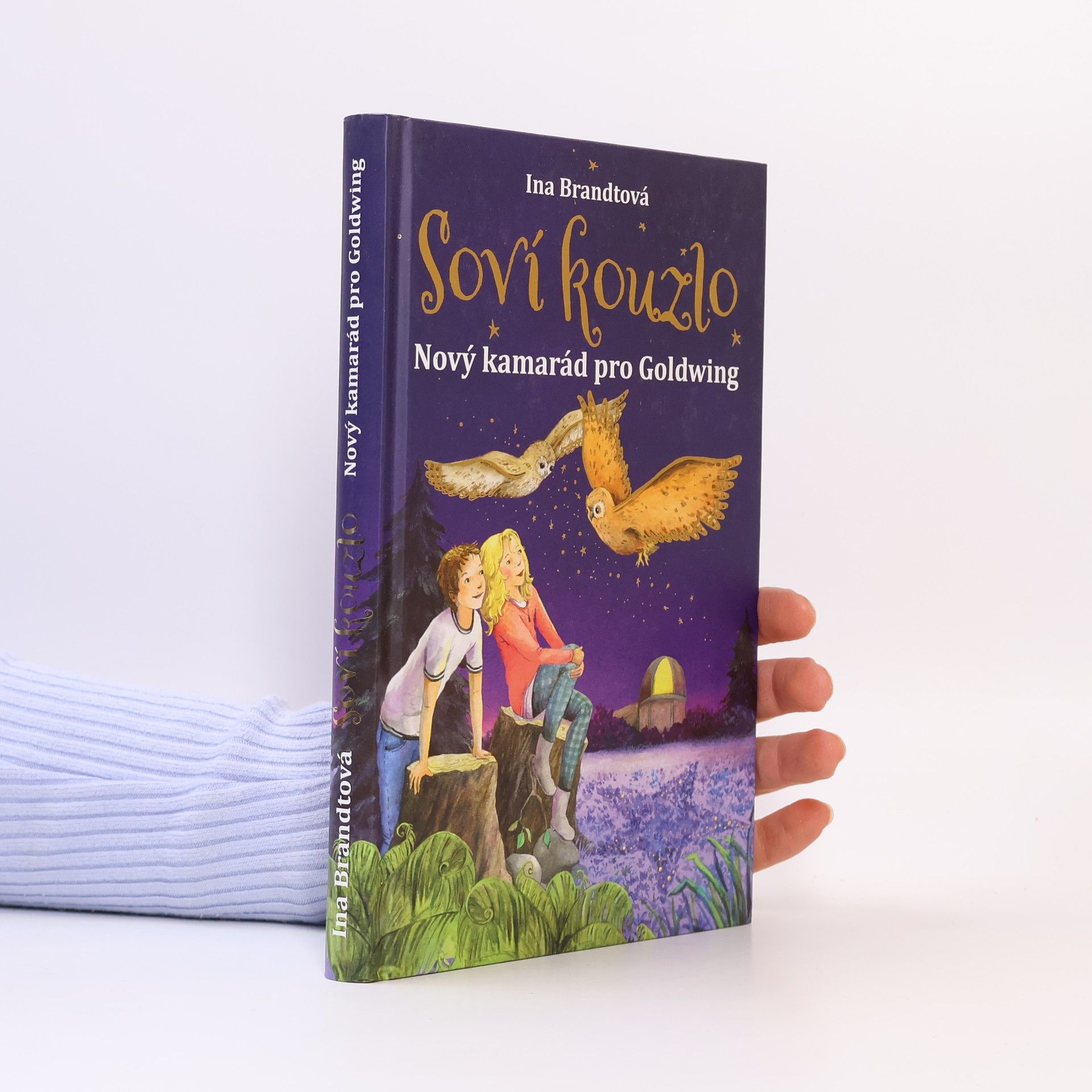 Soví kouzlo. Nový kamarád pro Goldwing