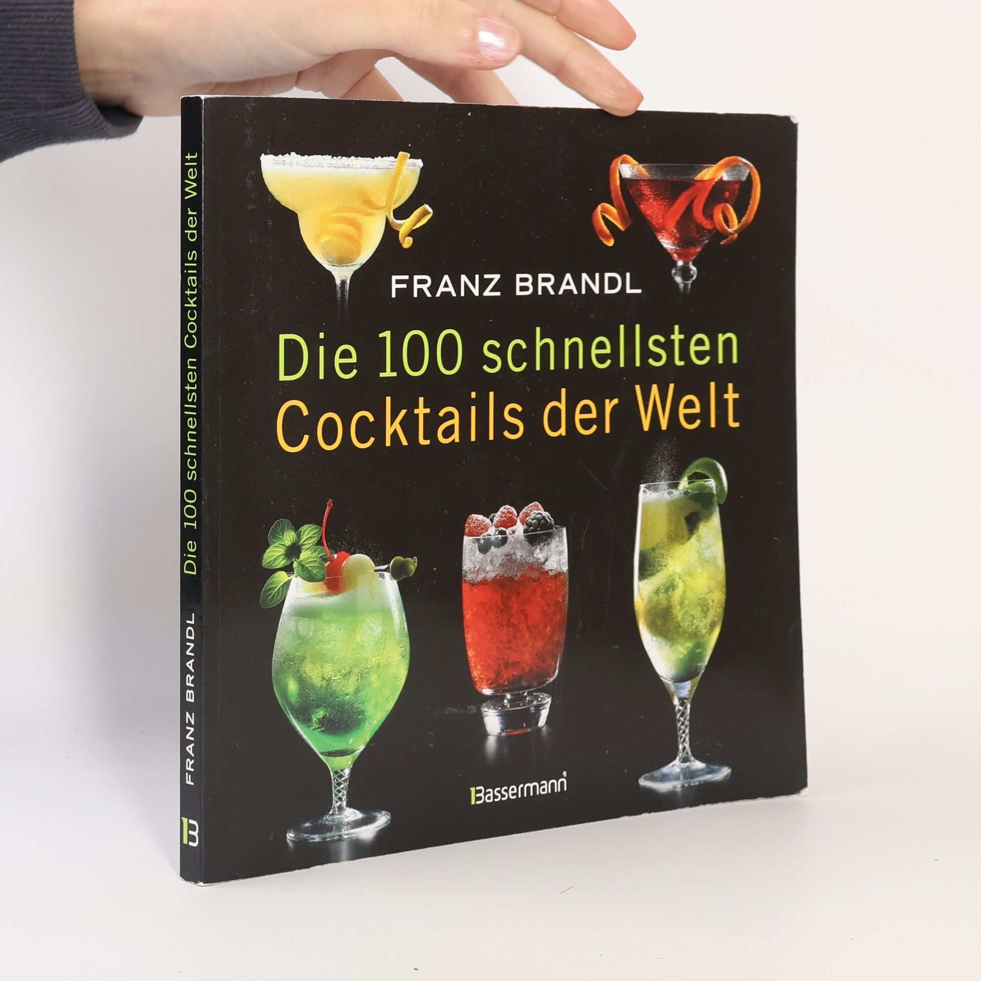 Franz Brandl Die 100 schnellsten Cocktails der Welt