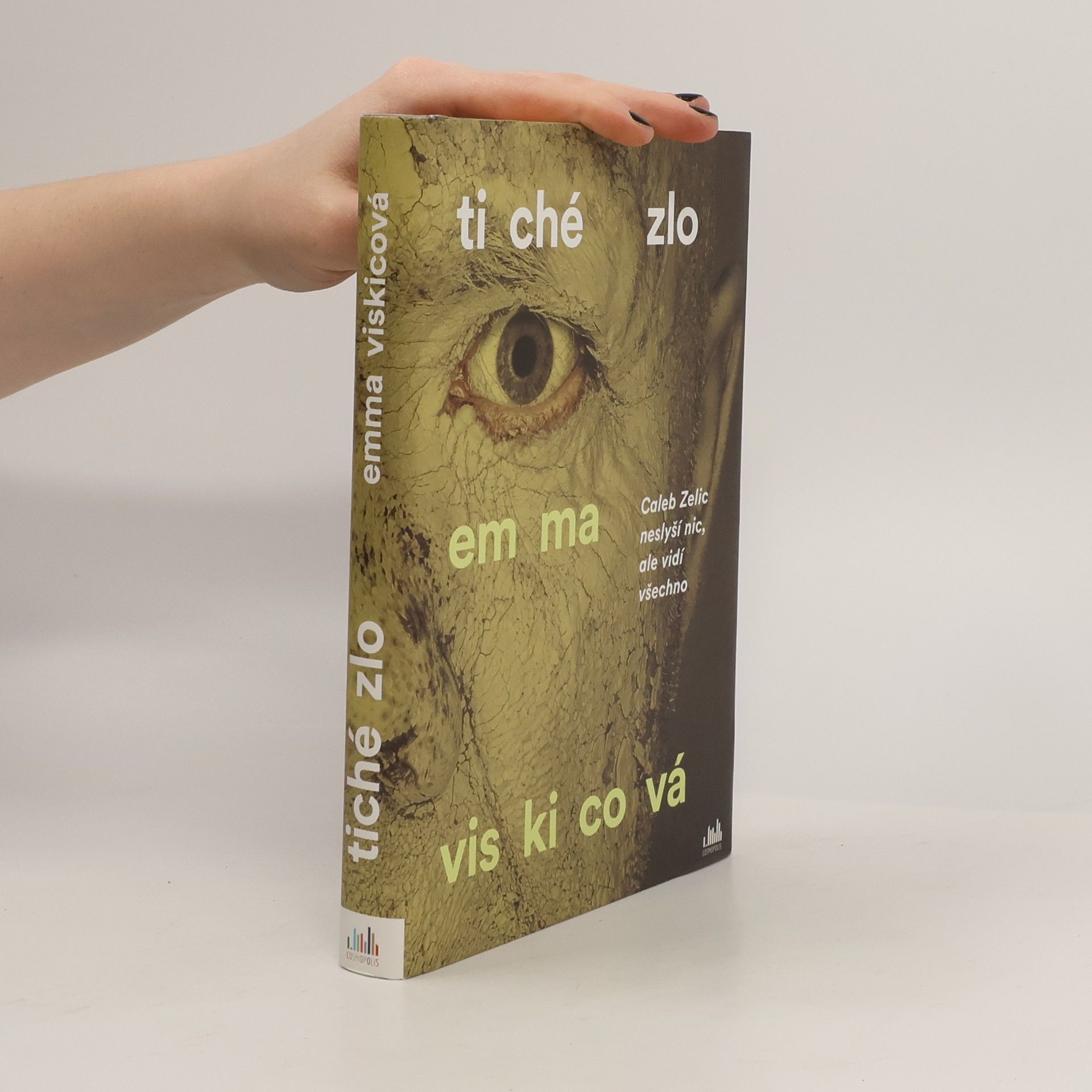 Emma Viskic Tiché zlo