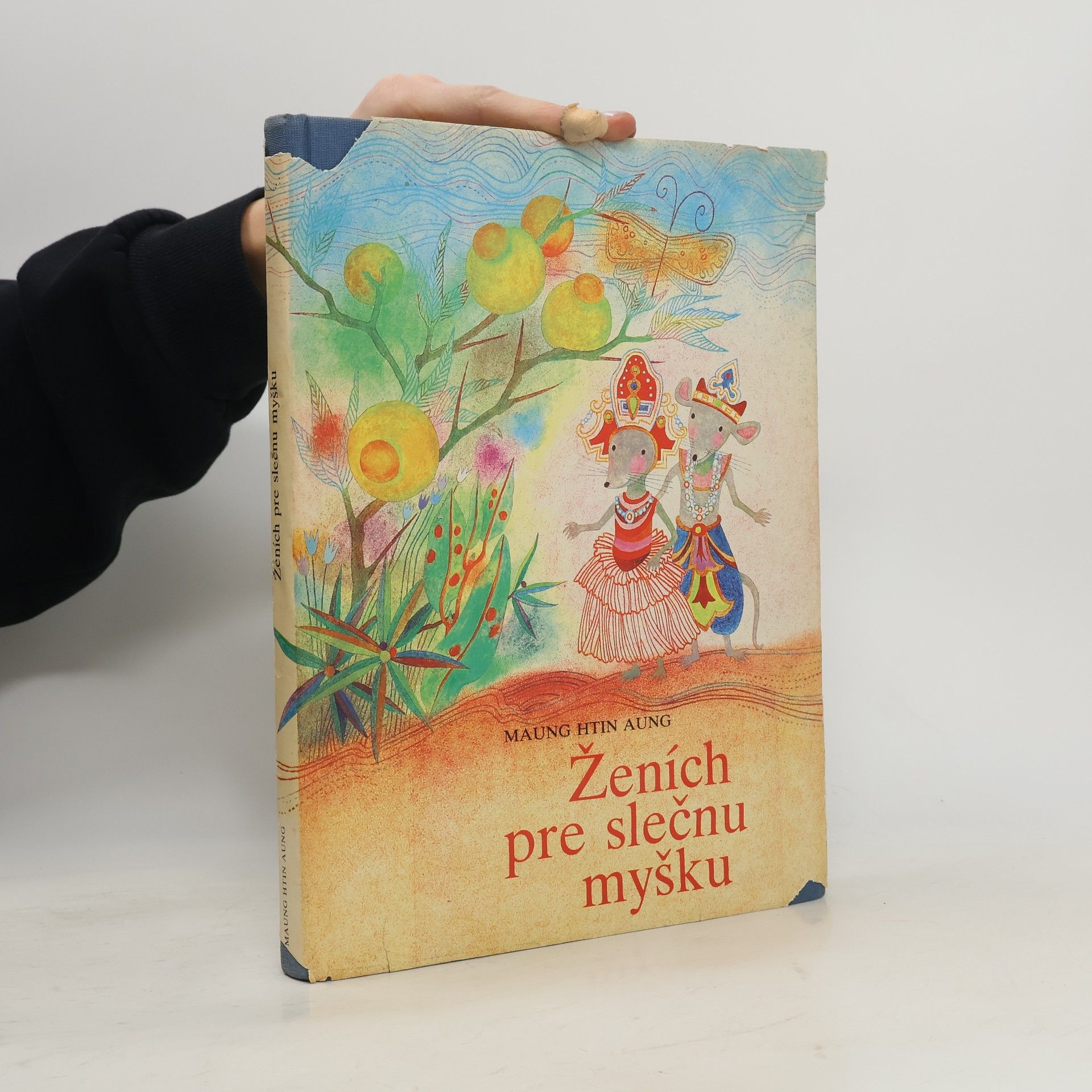 Ženích pre slečnu myšku