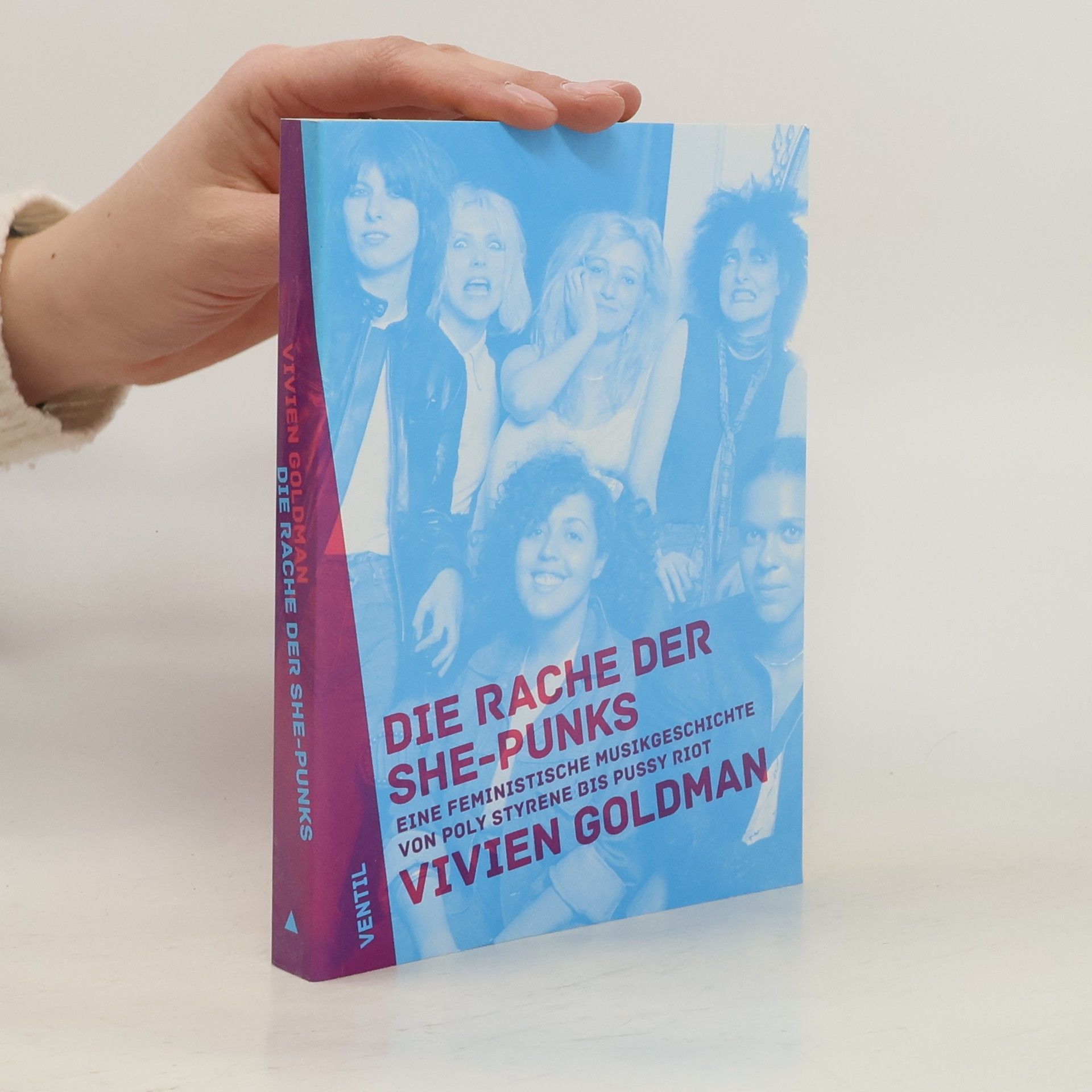 Vivien Goldman Die Rache der She-Punks