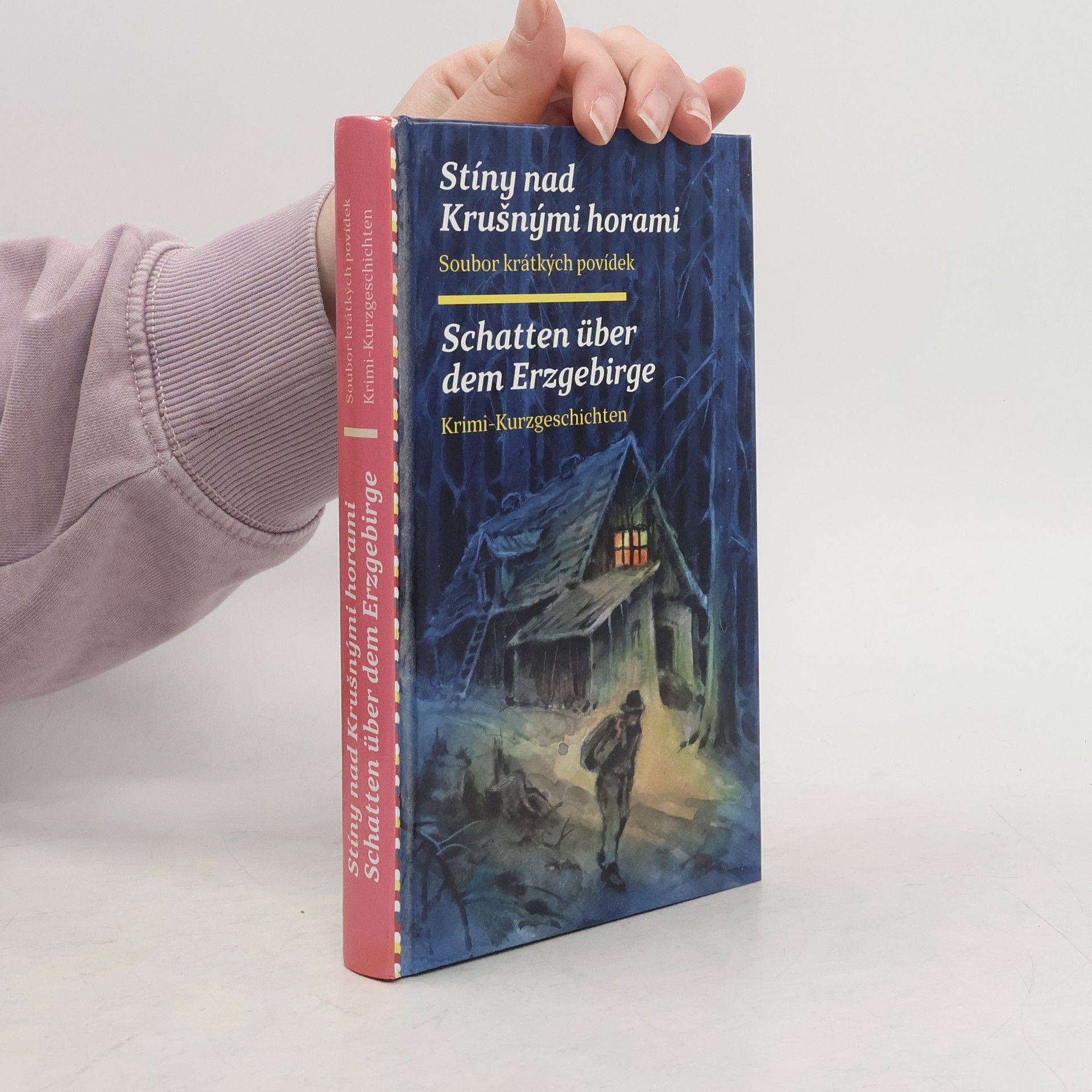 Stíny nad Krušnými horami