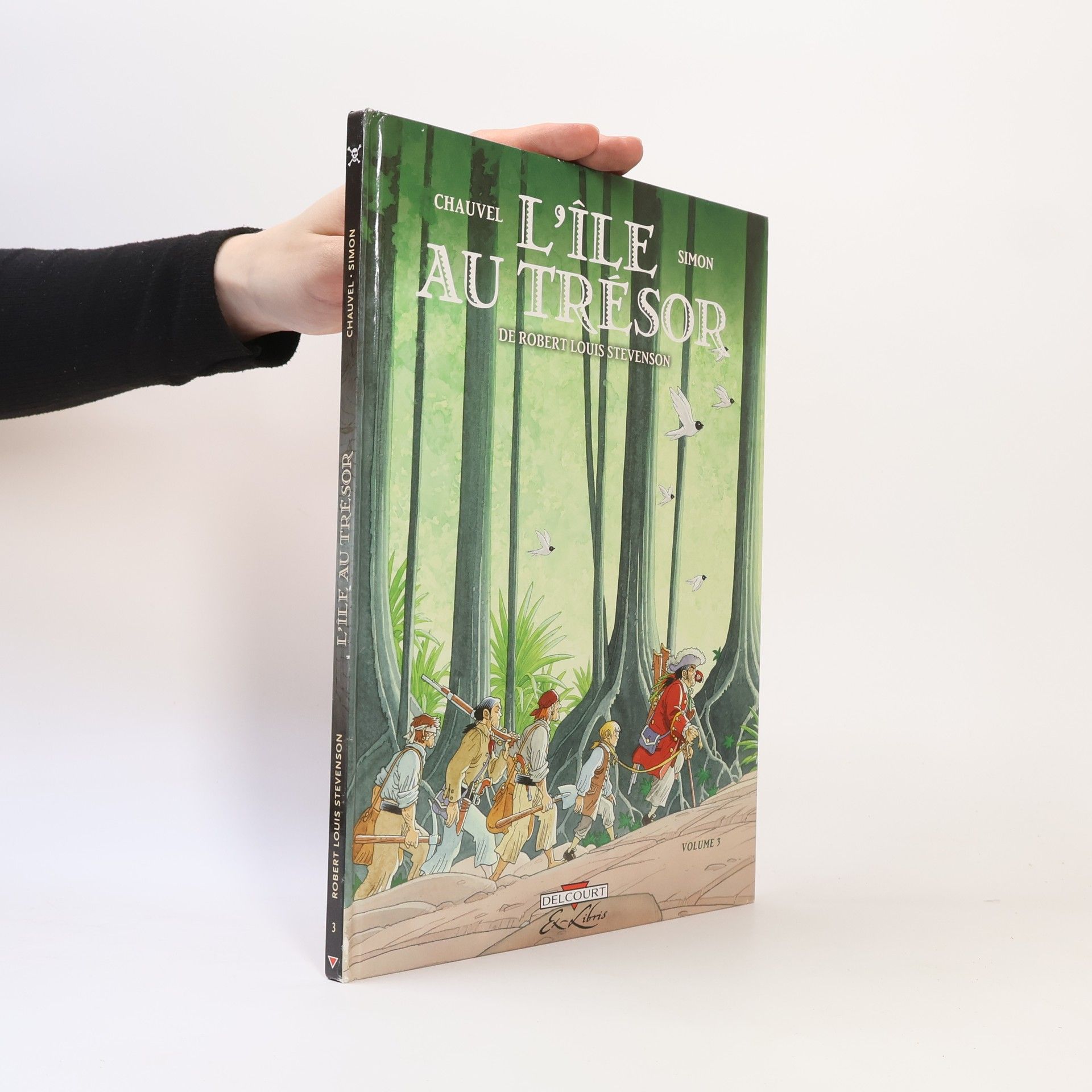 David Chauvel L'île au trésor