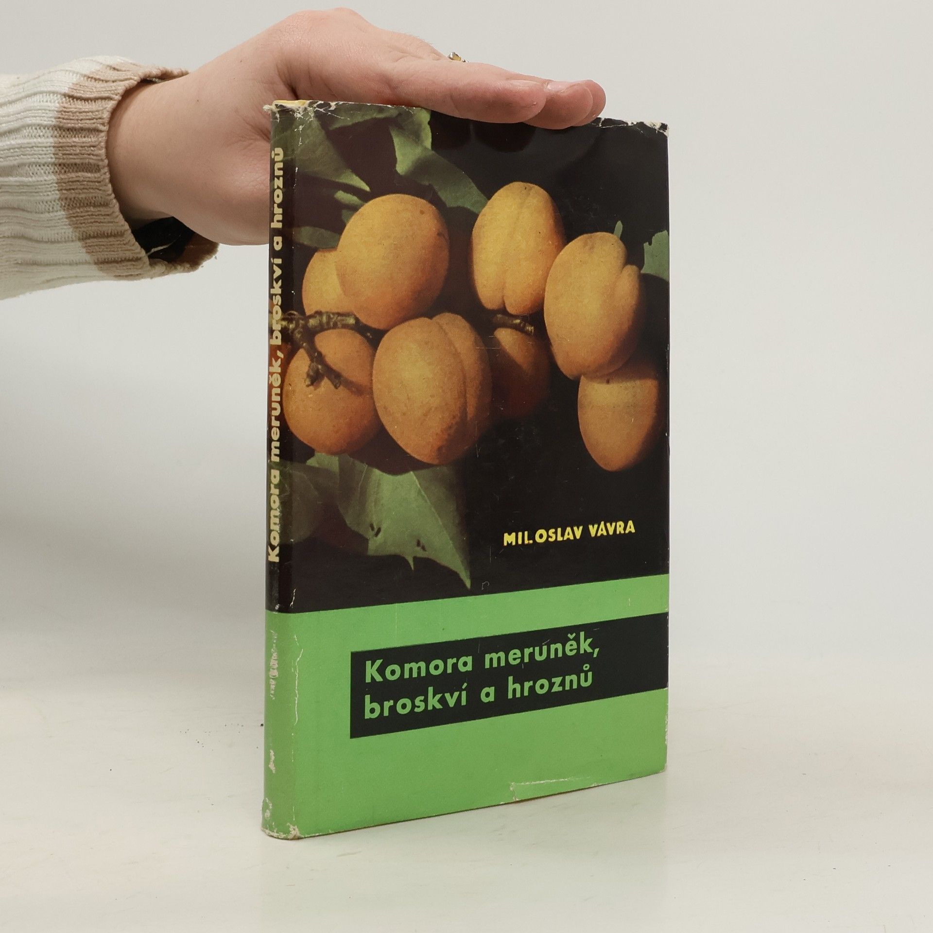 Miloslav Vávra Komora meruněk, broskví a hroznů