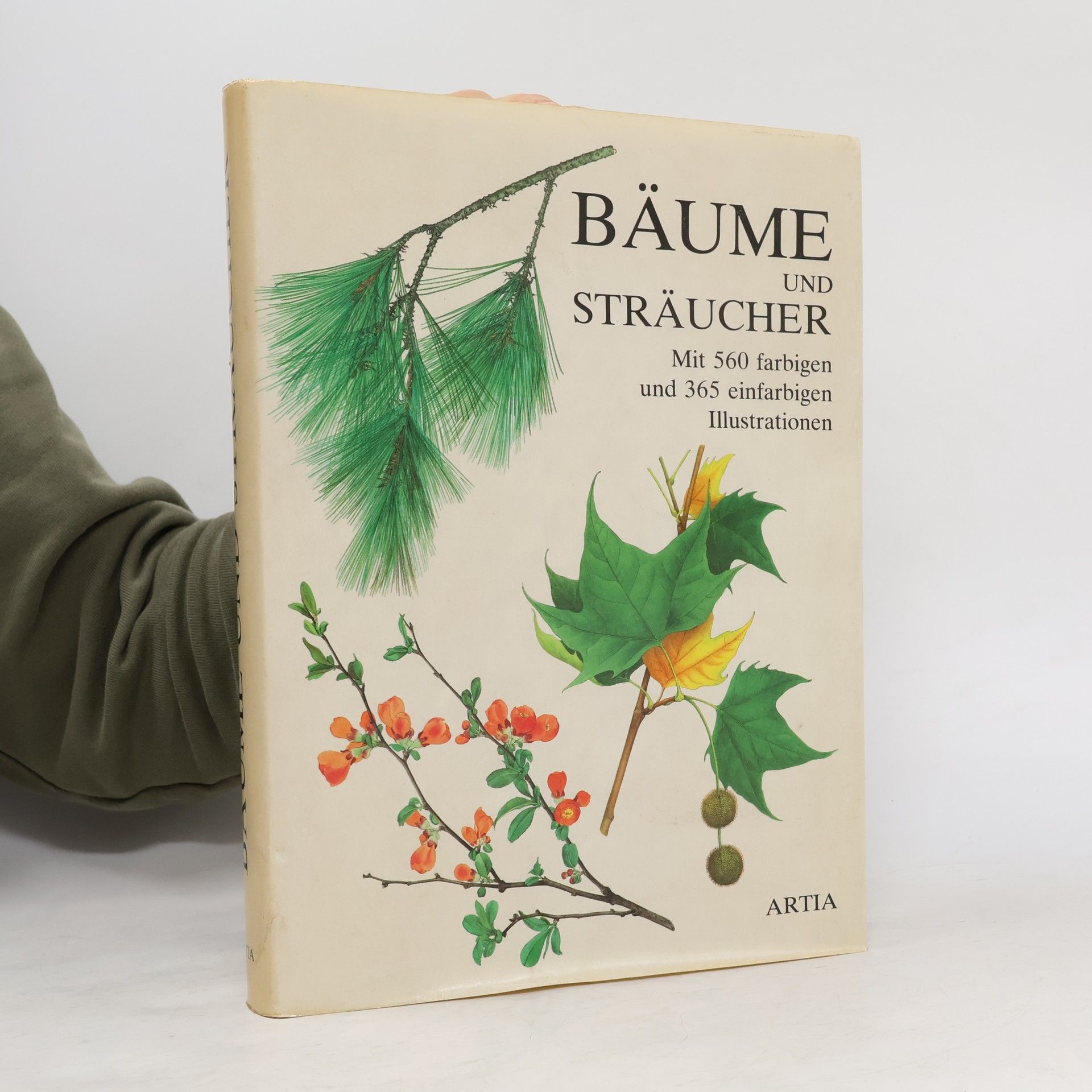 Václav Větvička Dausien's grosses Buch der Bäume und Sträucher