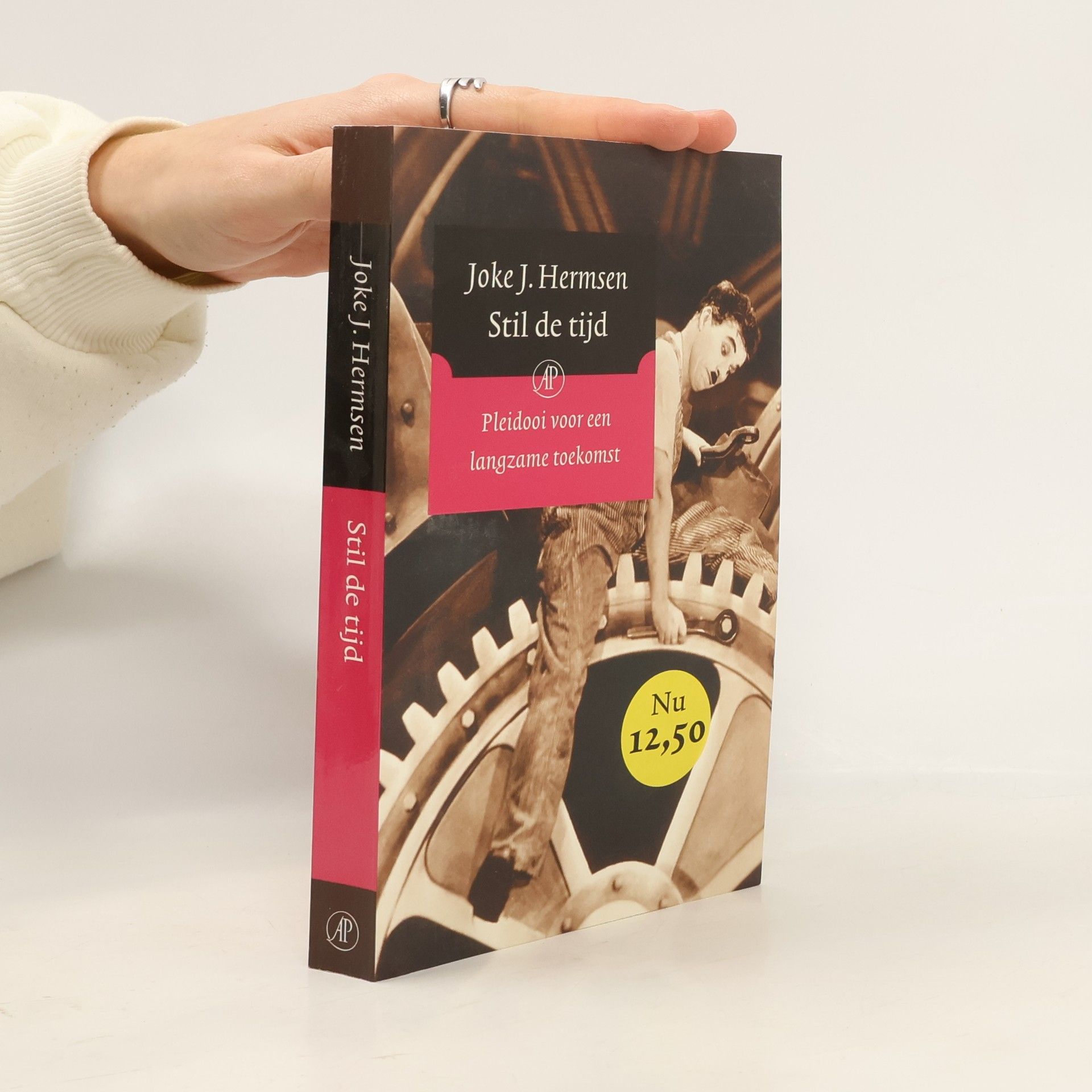 Joke Johannetta Hermsen Stil de tijd