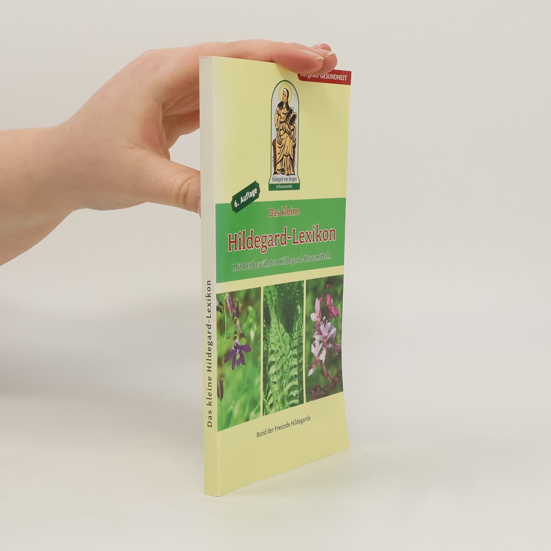 Autorenkollektiv Das kleine Hildegard-Lexikon