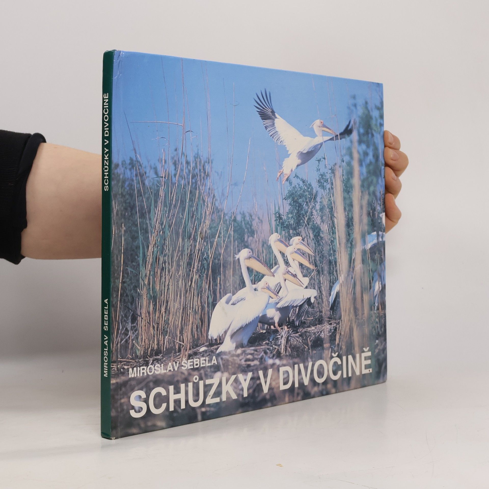 Schůzky v divočině