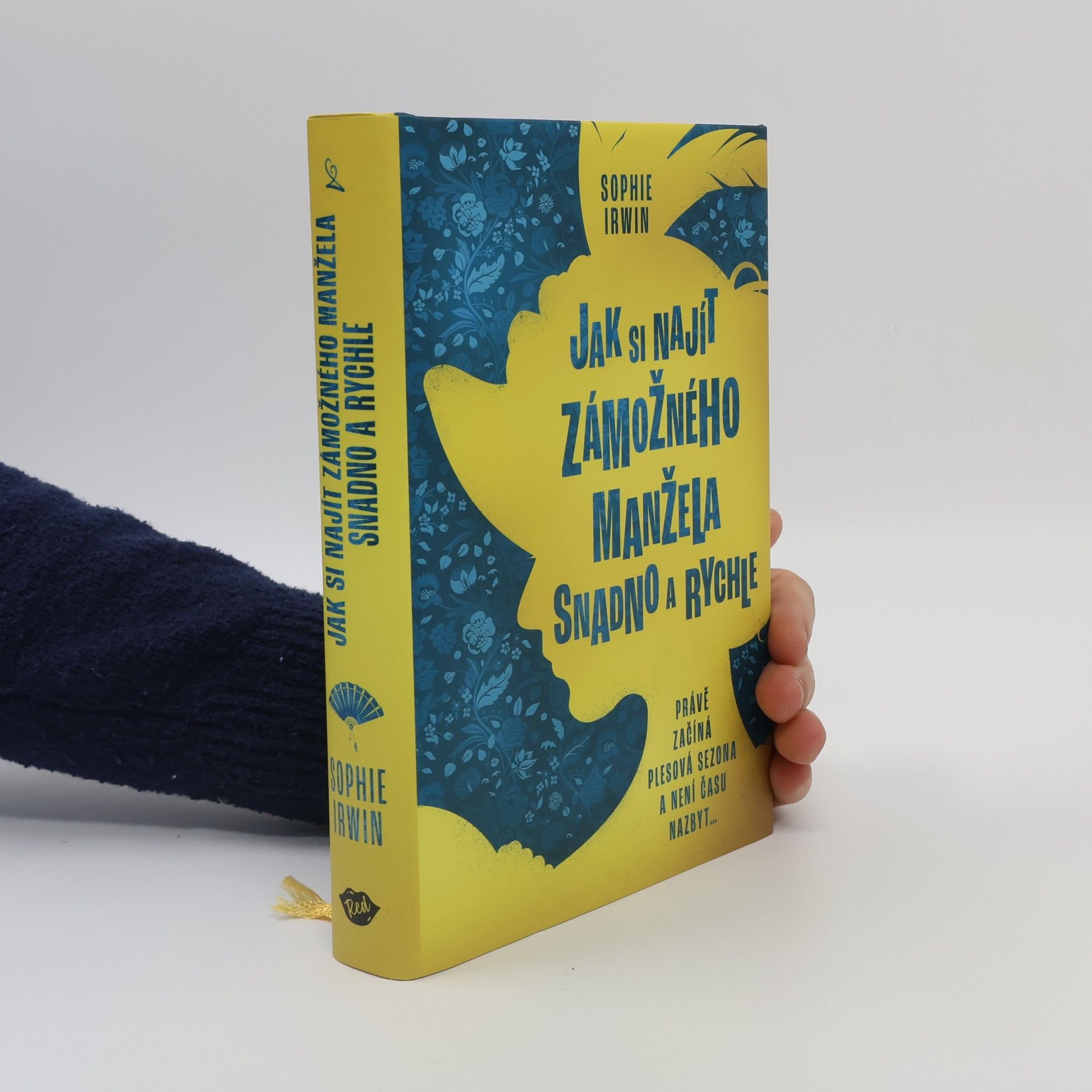 Sophie Irwin Jak si najít zámožného manžela snadno a rychle