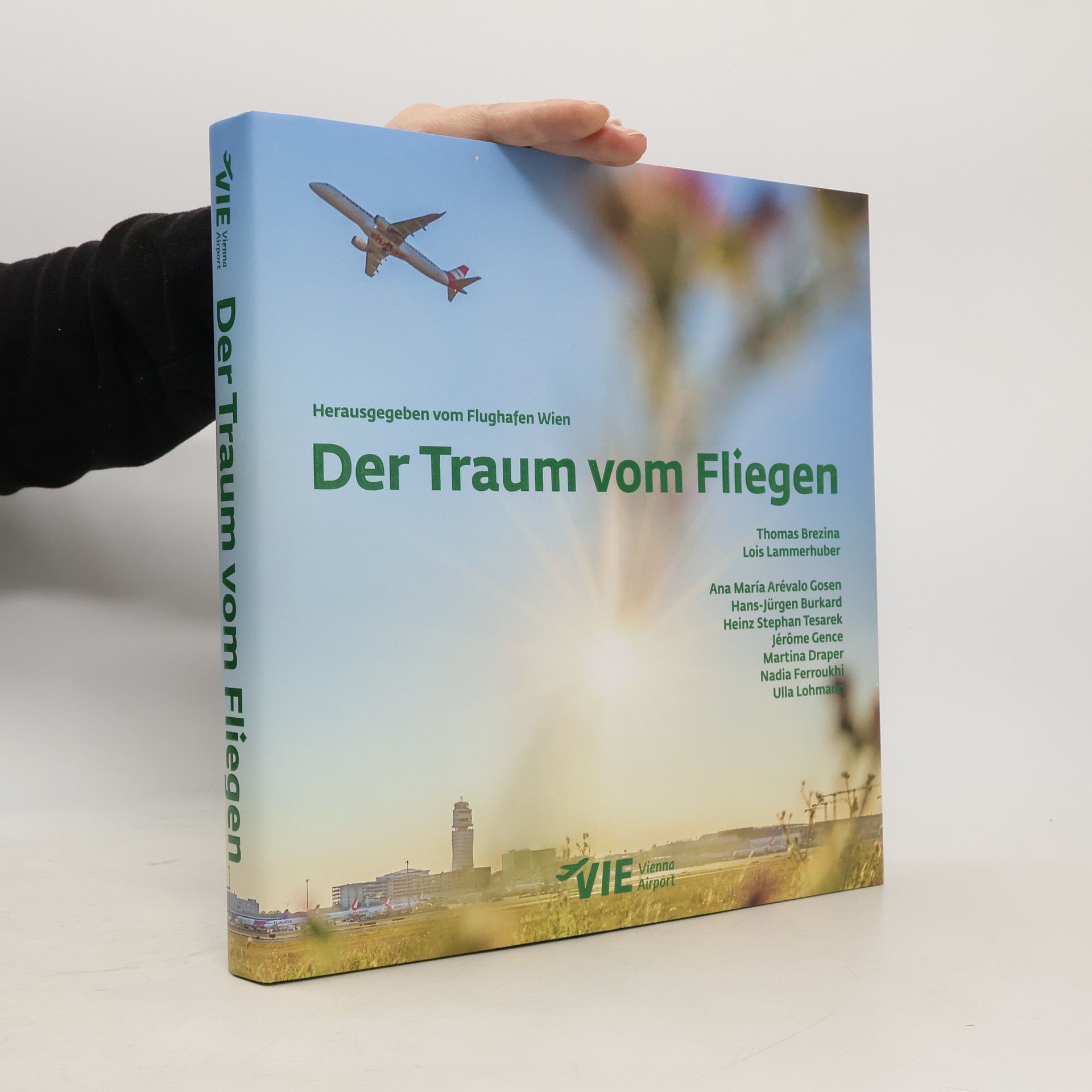 Der Traum vom Fliegen