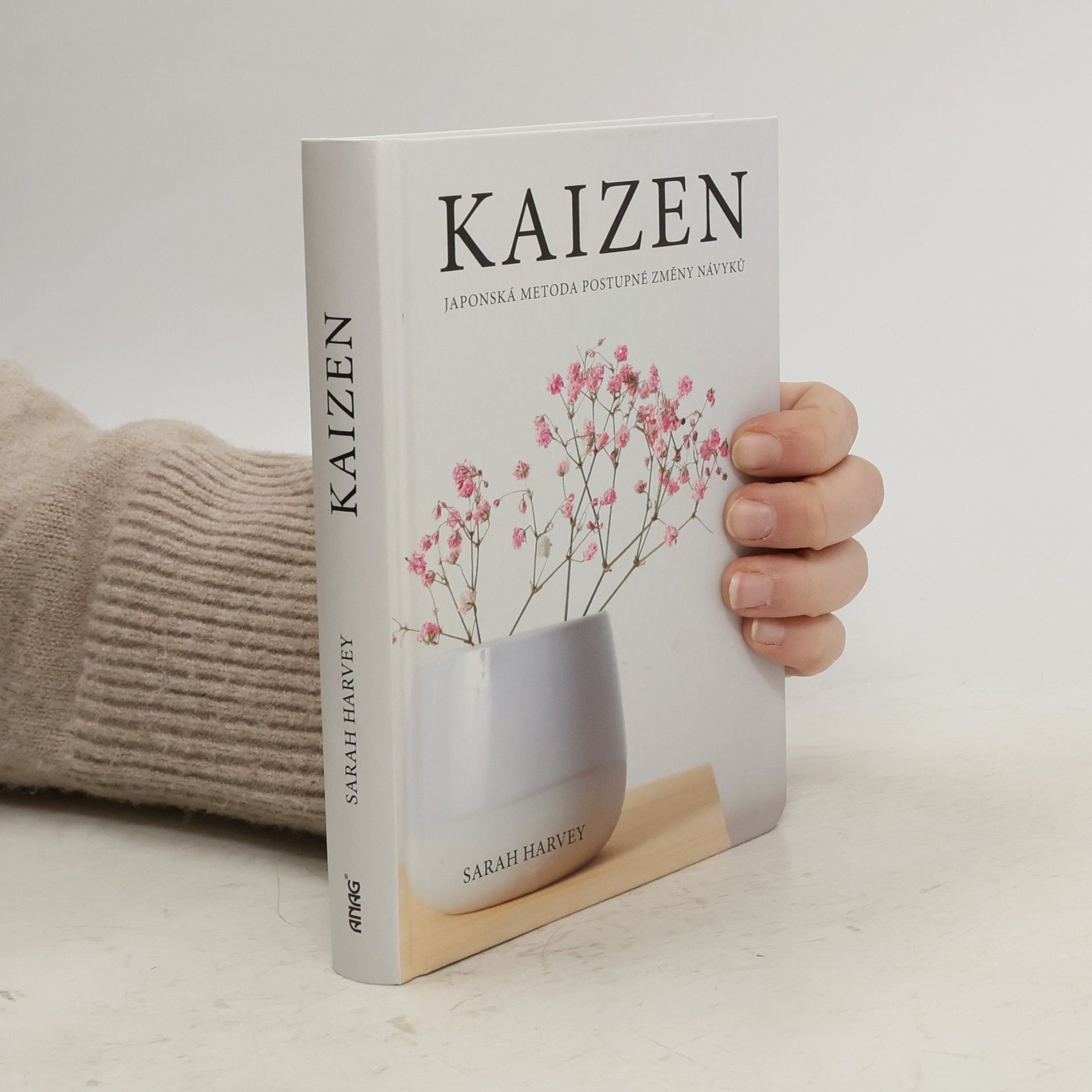 Sarah Harvey Kaizen: Japonská metoda postupné změny návyků