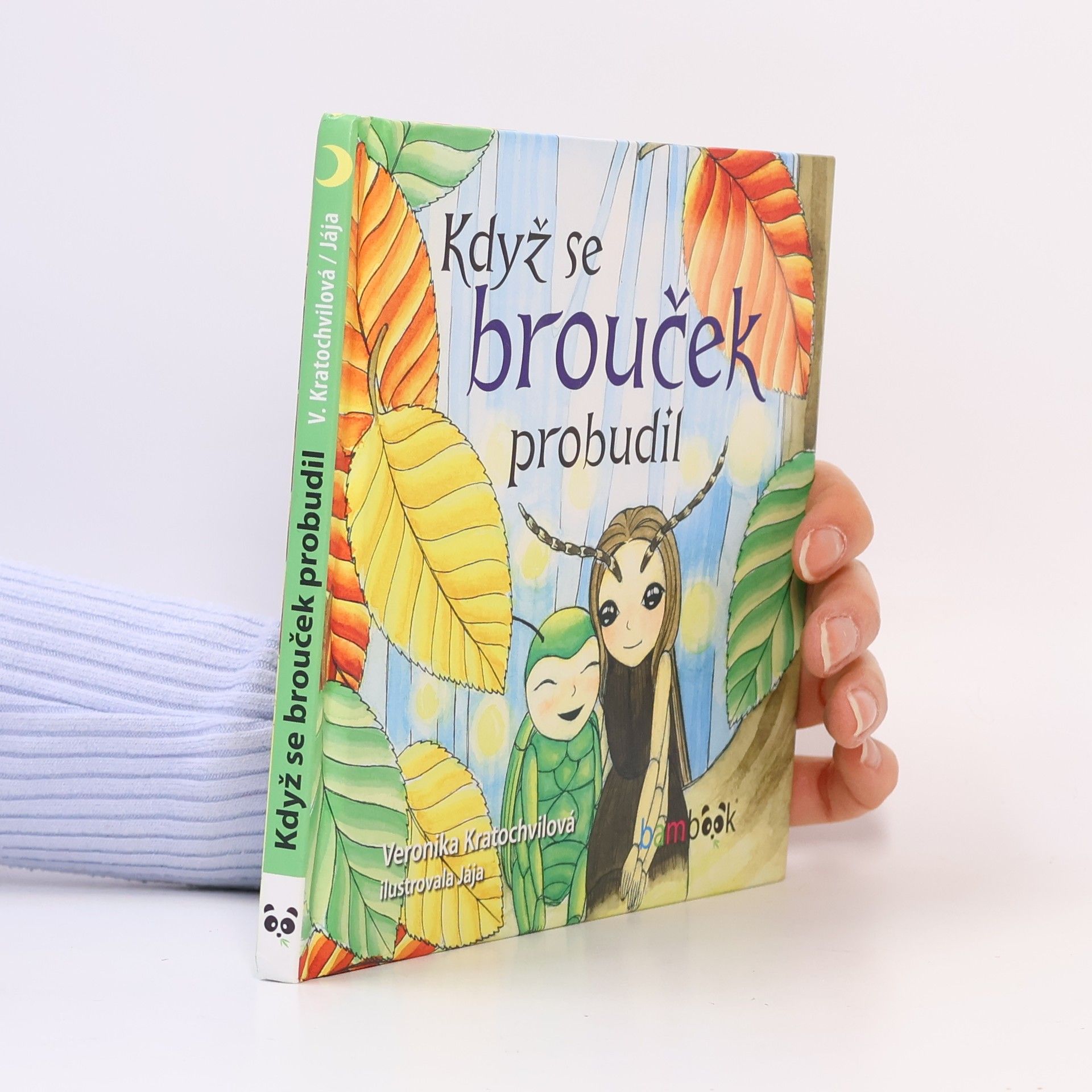 Veronika Kratochvílová Když se brouček probudil