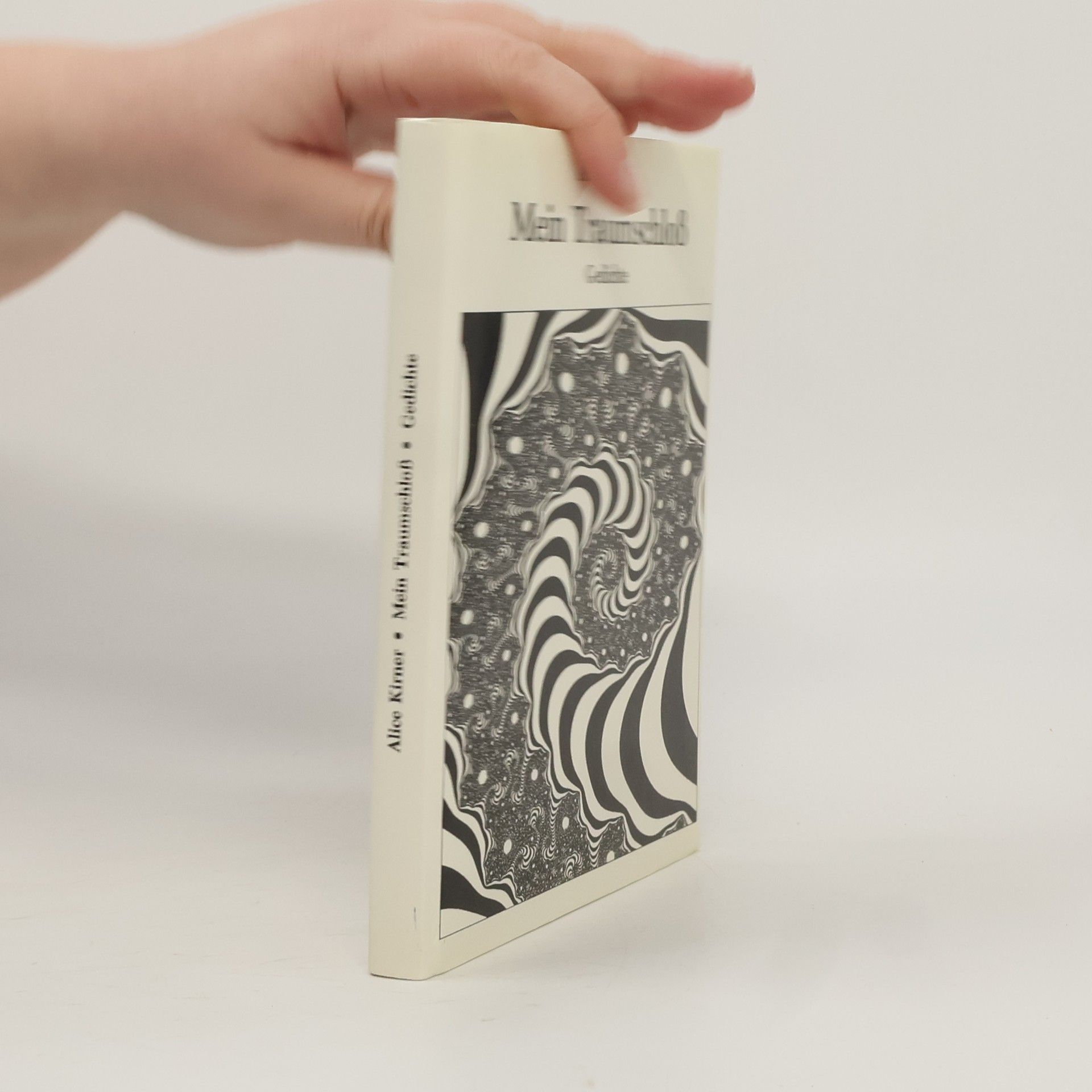 Alice Kirner Mein Traumschloss