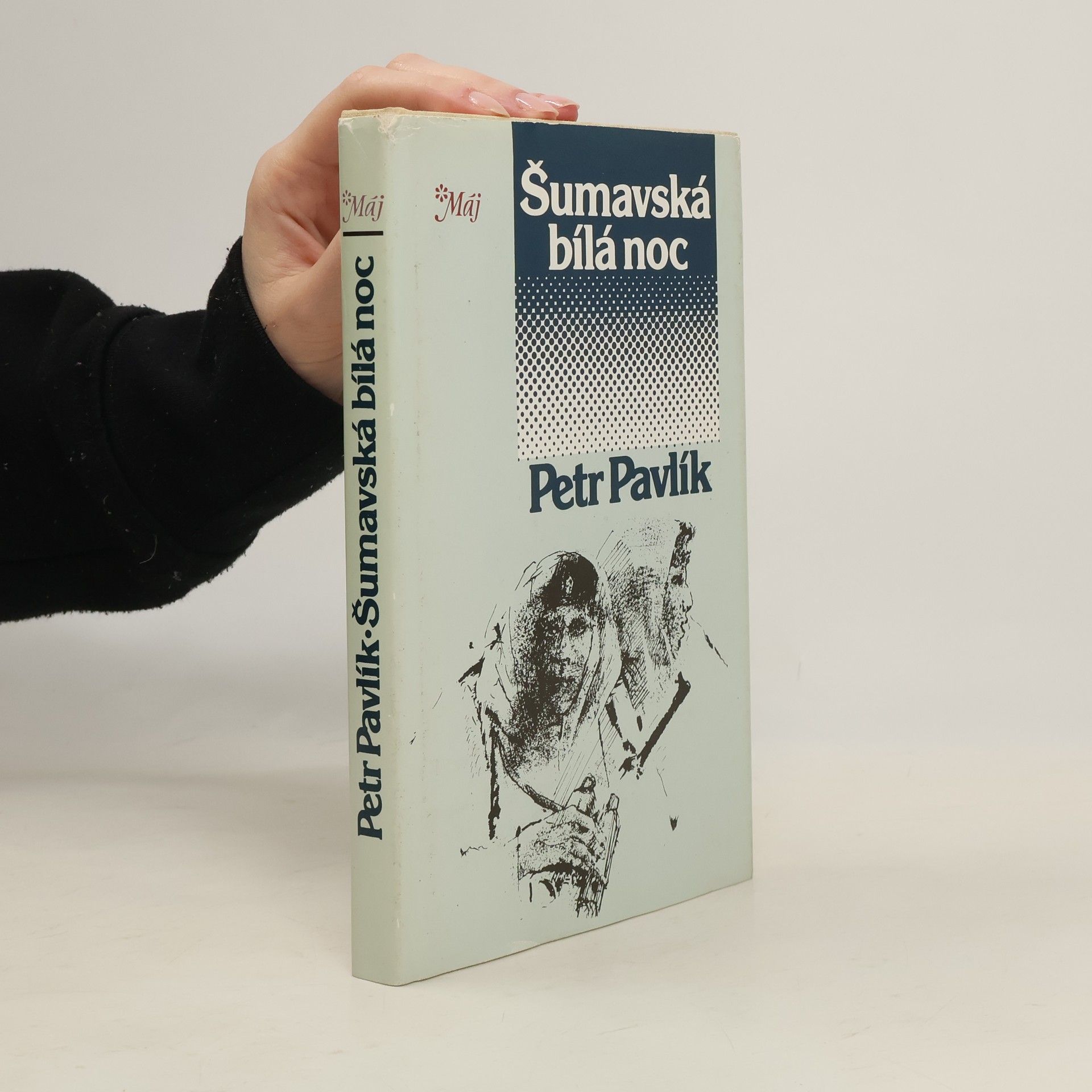 Petr Pavlík Šumavská bílá noc