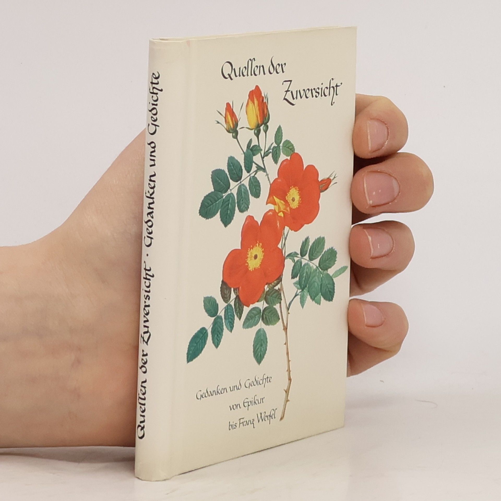 Autorenkollektiv Quellen der Zuversicht. Gedanken und Gedichte