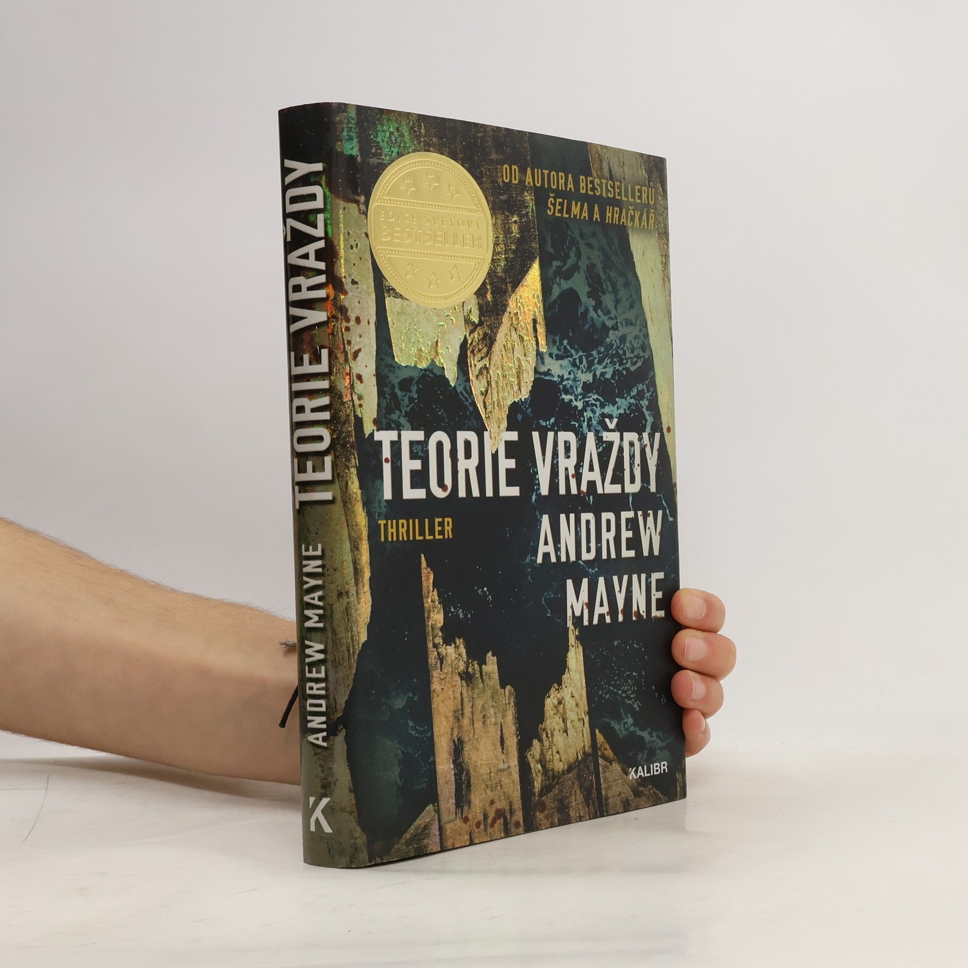 Andrew Mayne Teorie vraždy