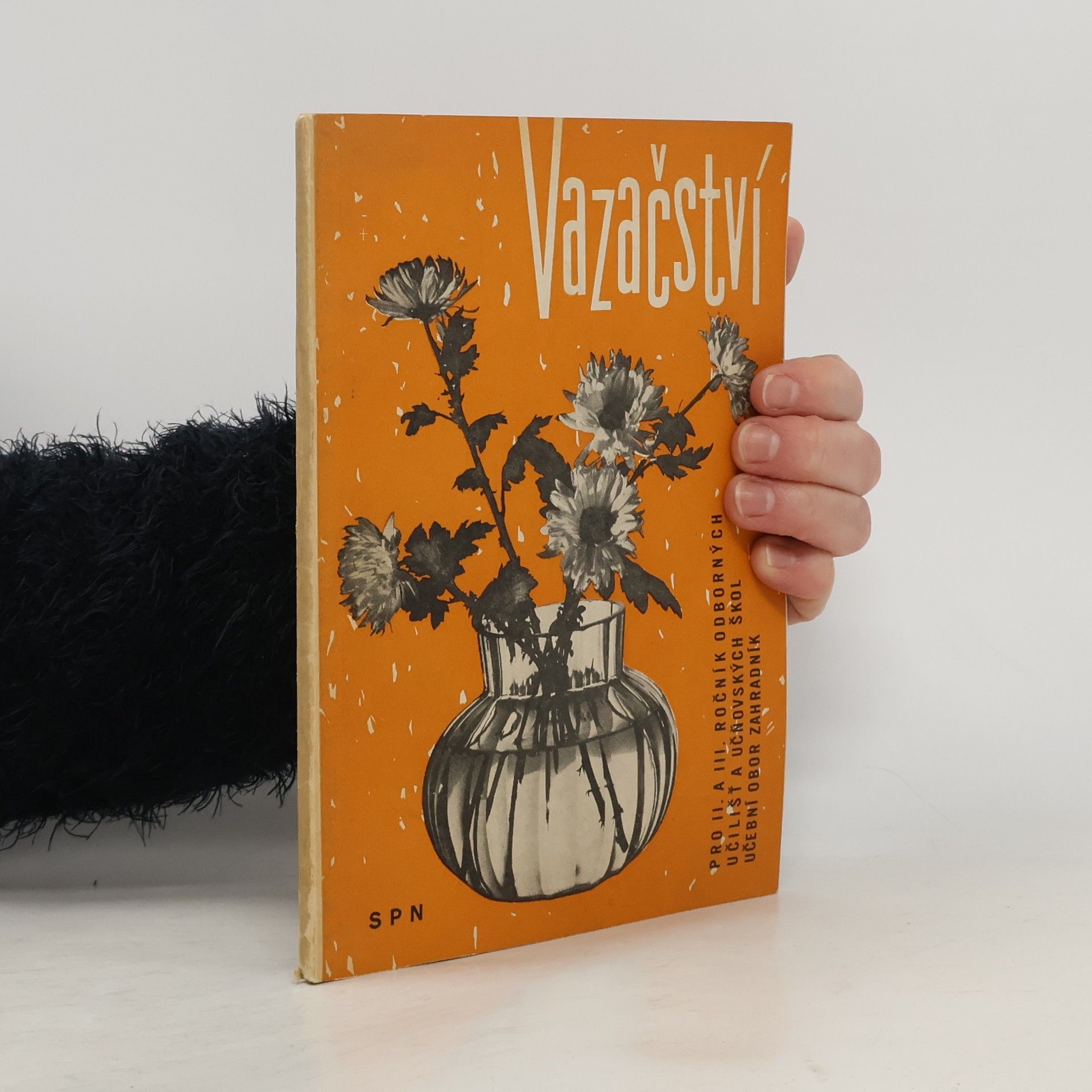 Kolektiv autorů Vazačství