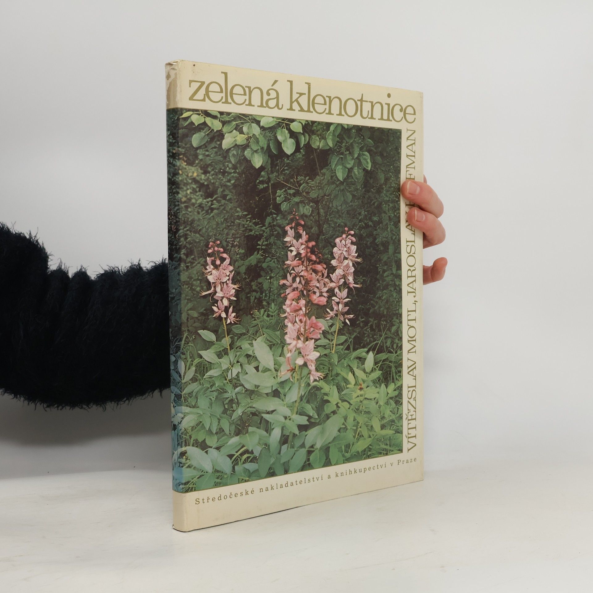 Vítězslav Motl Zelená klenotnice. Nejvzácnější přírodní krásy středních Čech